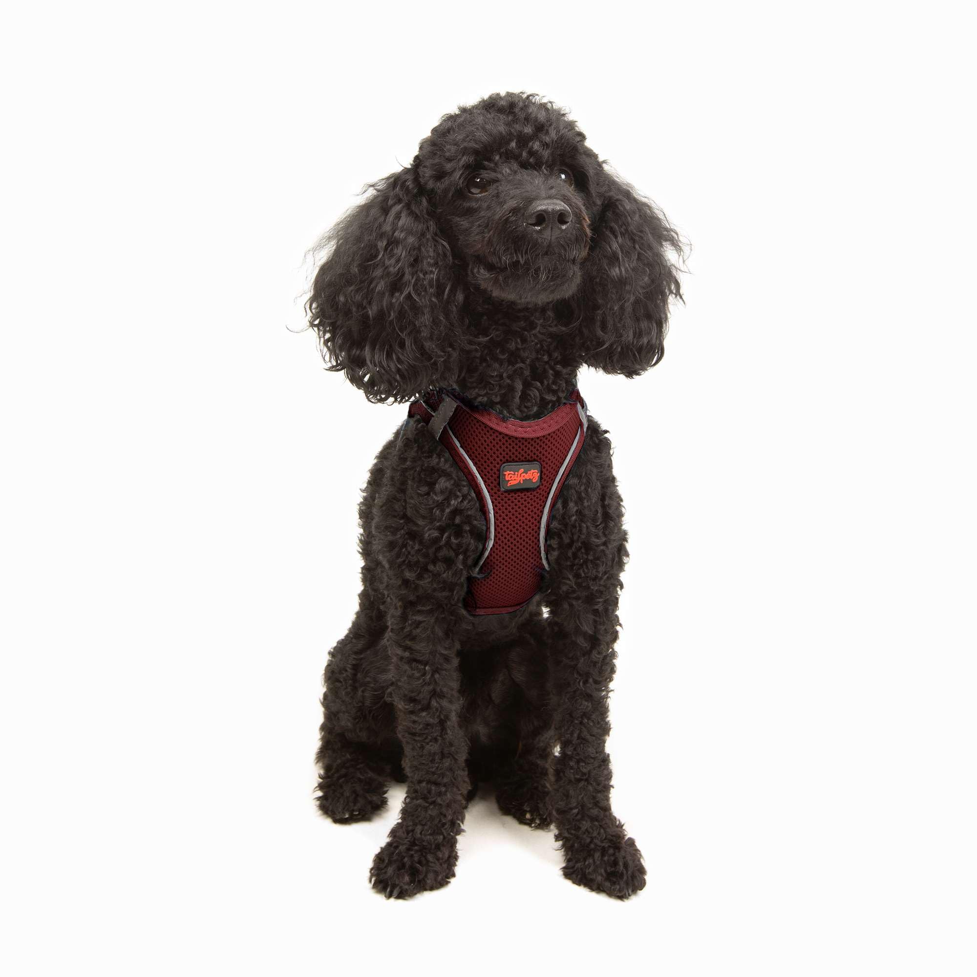 Tailpetz Extra Small Dog Harness, Adjustable Step in No Pull Harness for Small Dogs, Reflective Puppy Harness for Puppy Training
