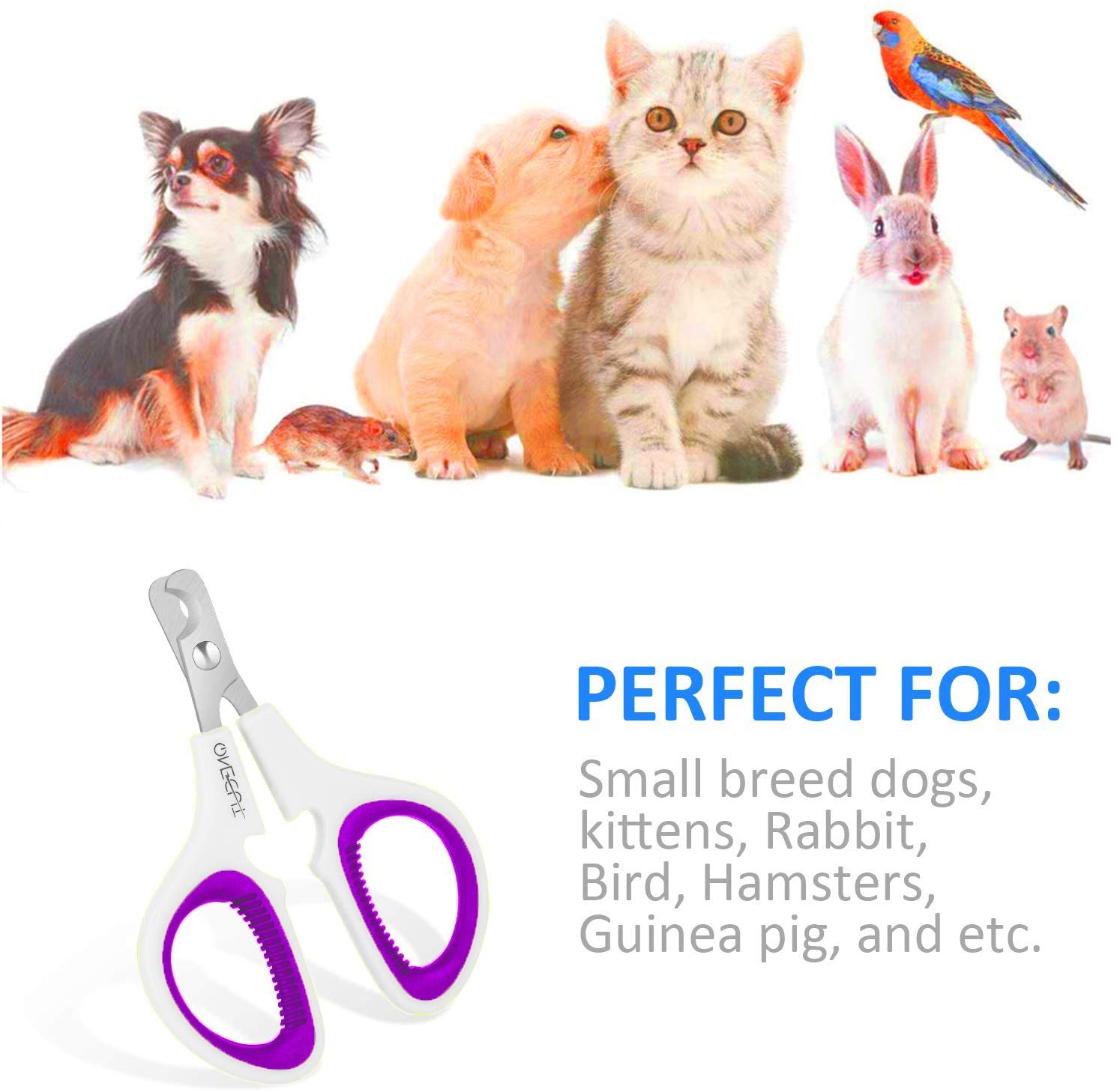 Onecut Pet Nail Clippers, Update Version Cat & Kitten Claw Nail Clippers For Trimming, Professional Pet Nail Clippers Best For A Cat, Puppy,Rabbit, Kitten & Small Dog,Sharp & Safe (Purple)