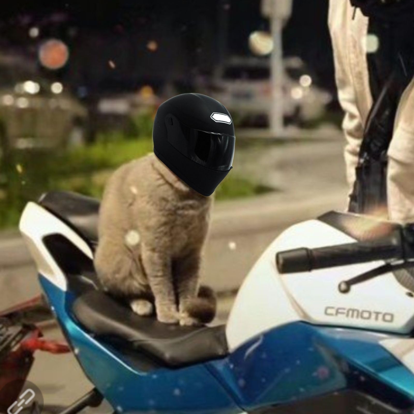 Kunbiuh Pet Motorcycle Helmet For Cat/Dog, Full Face, Outdoor, Black