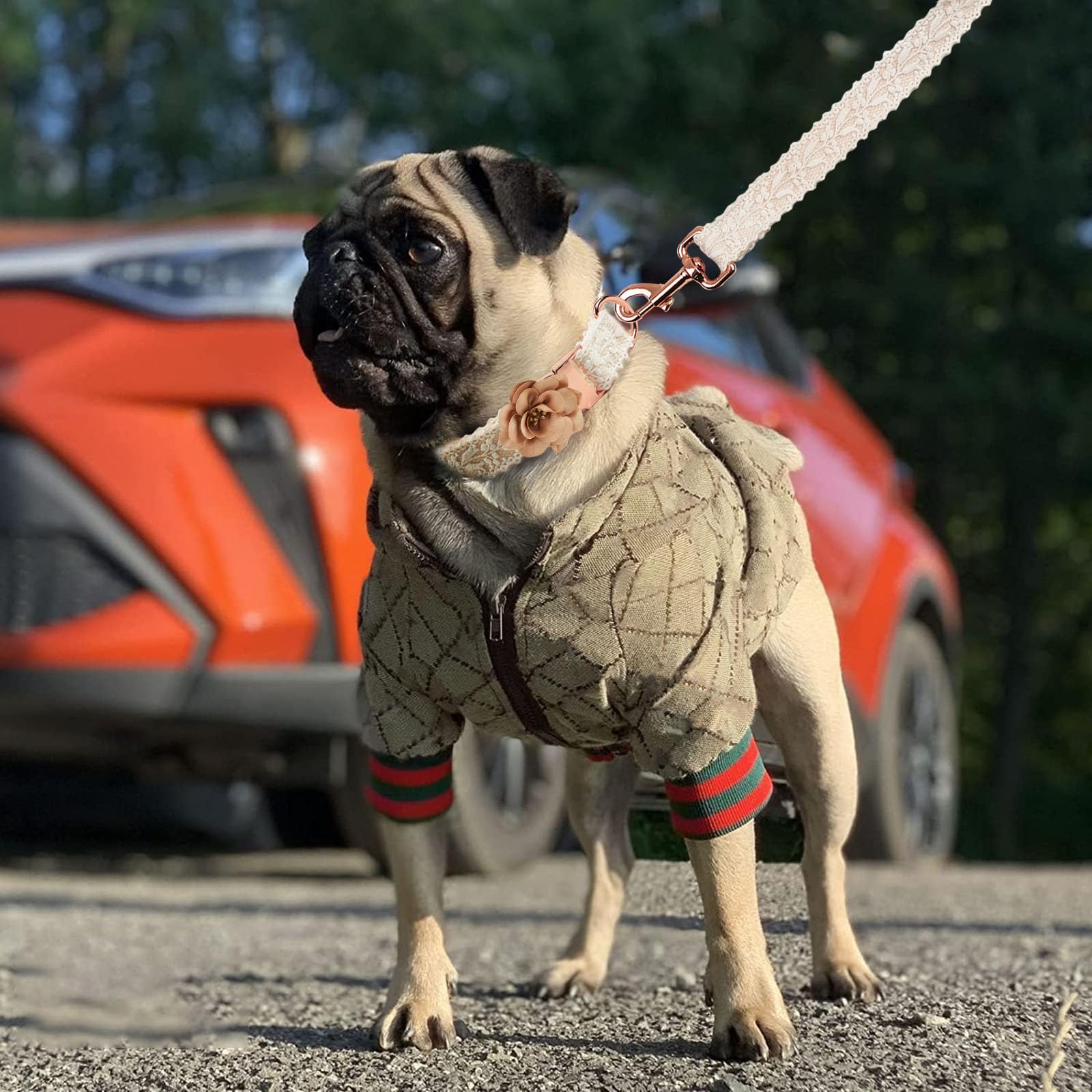 HQREA Dog Hoodie Luxury Winter Small Dog Jacket Clothes Classic Designer Warm Pet Coats Zipper Design Easy On/Off French Bulldog