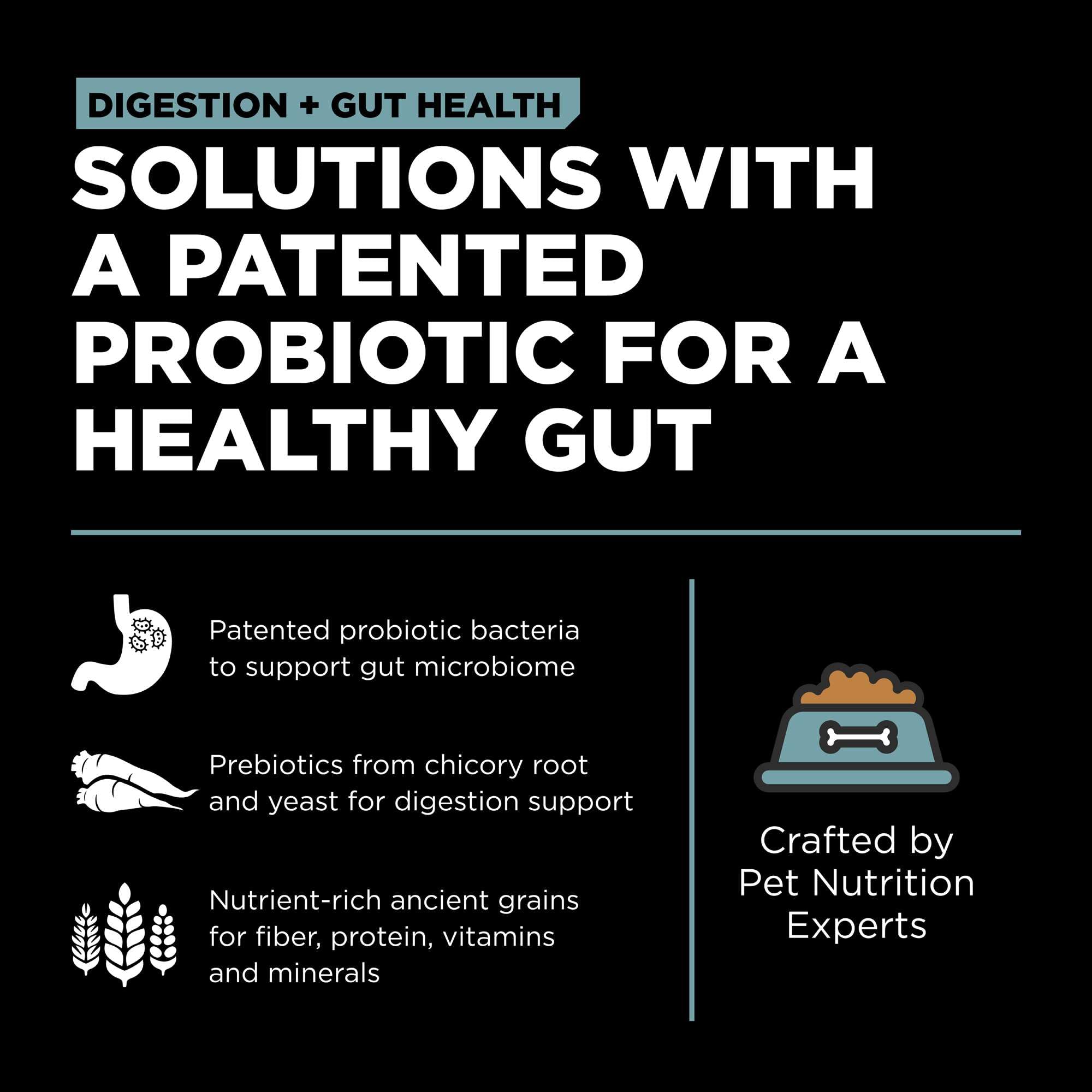 Go! Solutions Digestion + Gut Health Chicken Dry Cat Food, Premium-Quality Kibble for Gastrointestinal & Digestive Wellness, Sup