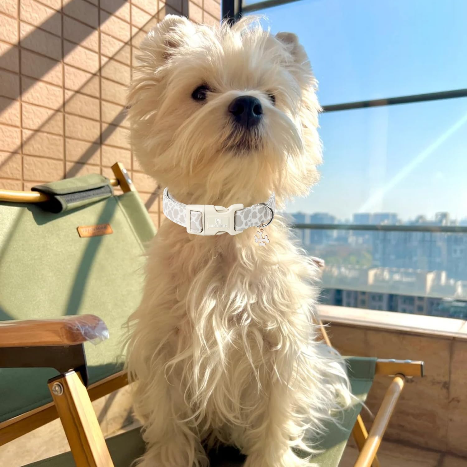 Maca Bates Beige Leopard Dog Collar Cow Print Puppy Collars Durable Comfortable Adjustable Birthday Gift For Xs Small Medium Lar