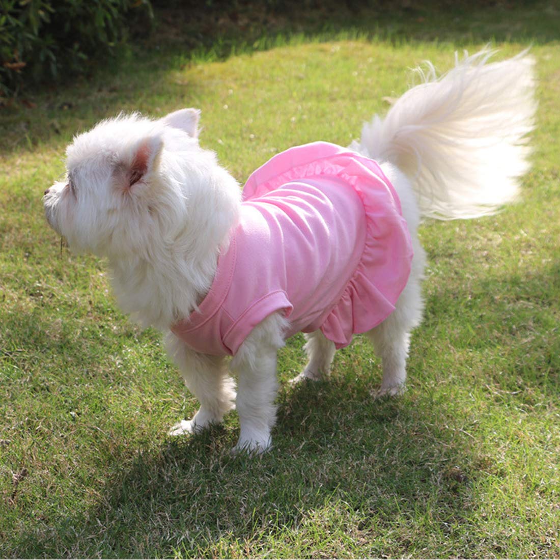 Caisang Dog Skirt Shirts, Puppy Dresses For Small Dogs Girls, Pet Clothes Doggy Apparel, Comfortable Summer Shirt Beach Wear Clothing, Outfits For Medium Dog, Kitty Cats, Cotton Tops (Pink S)