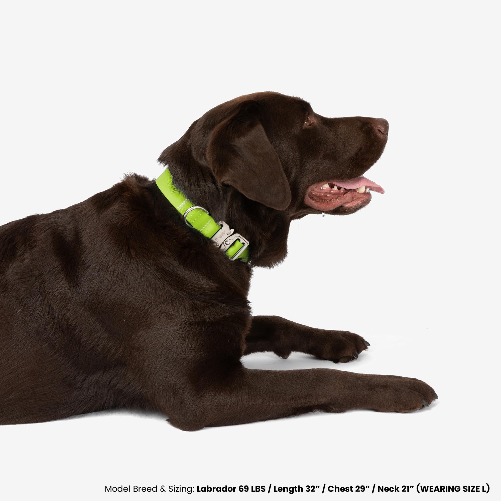Nandog The Signature Collection Waterproof Poly-Flex Sport Dog Collar In Medium, Neon Green - Durable & Adjustable Design - Comf