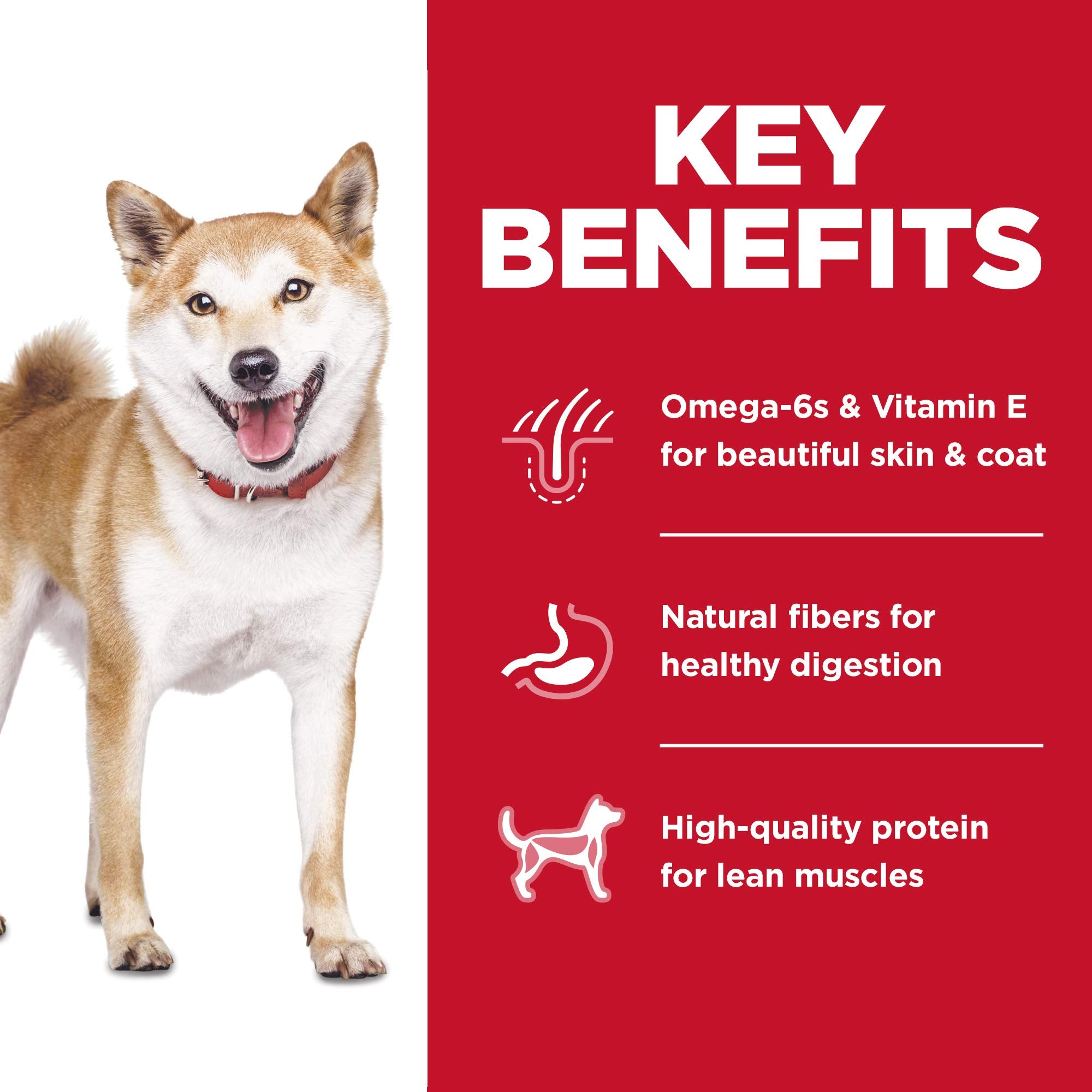 Hills Science Diet Adult 1-6, Adult 1-6 Premium Nutrition, Dry Dog Food, No Corn, Wheat, Soy Chicken & Brown Rice, 30 lb Bag
