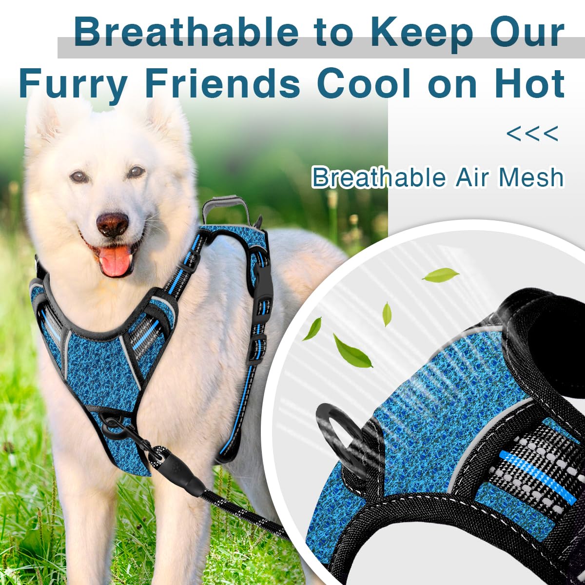 Barkbay Dog Harness No Pull With Id Tag Pocket - Heavy Duty, Reflective, Easy Control For Large Dogs (Blue/Black,L)