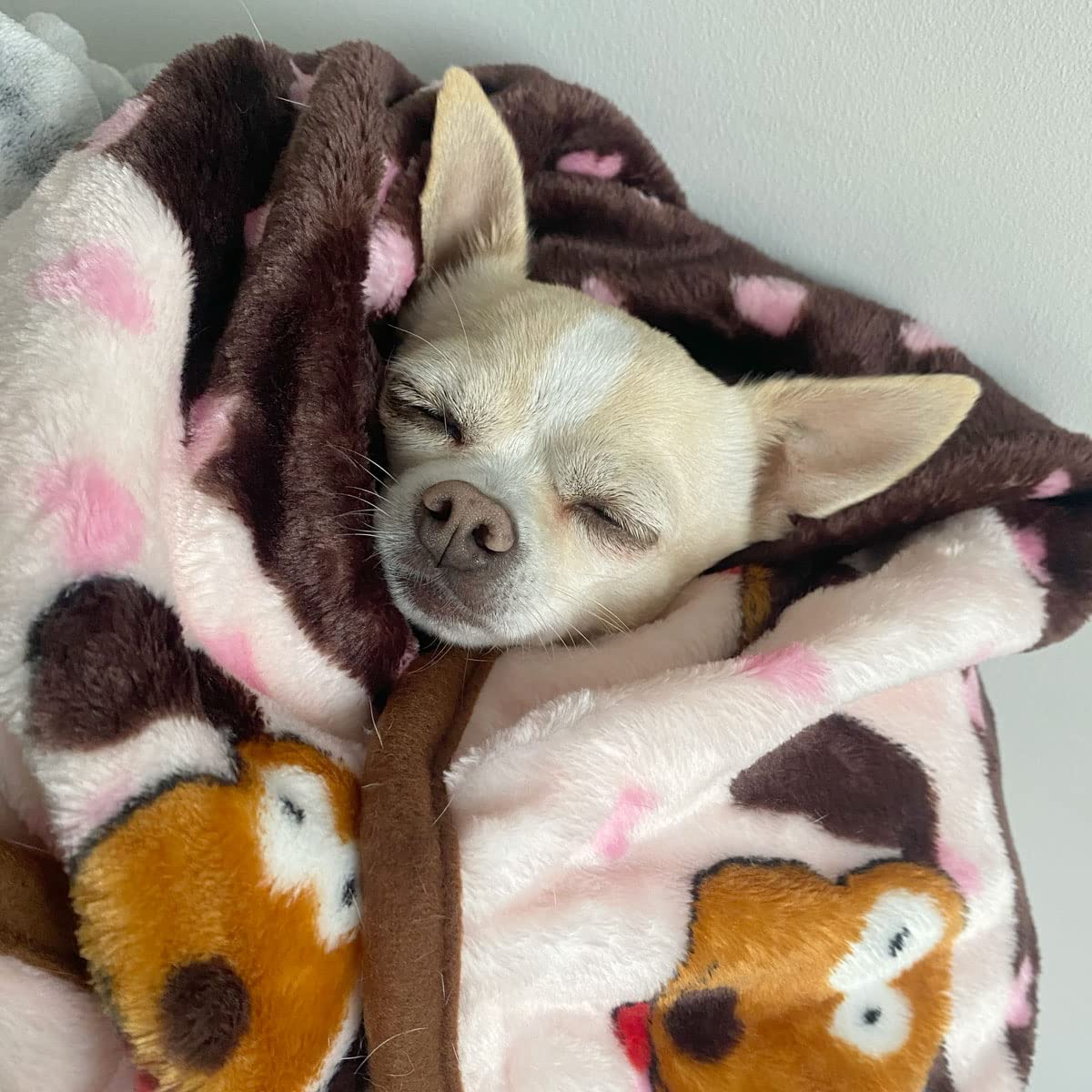 SmartPetLove Snuggle Puppy Blanket - Extra Soft, Long Lasting, Pink Pattern, 48x30x0.5 inches - Perfect for Pets