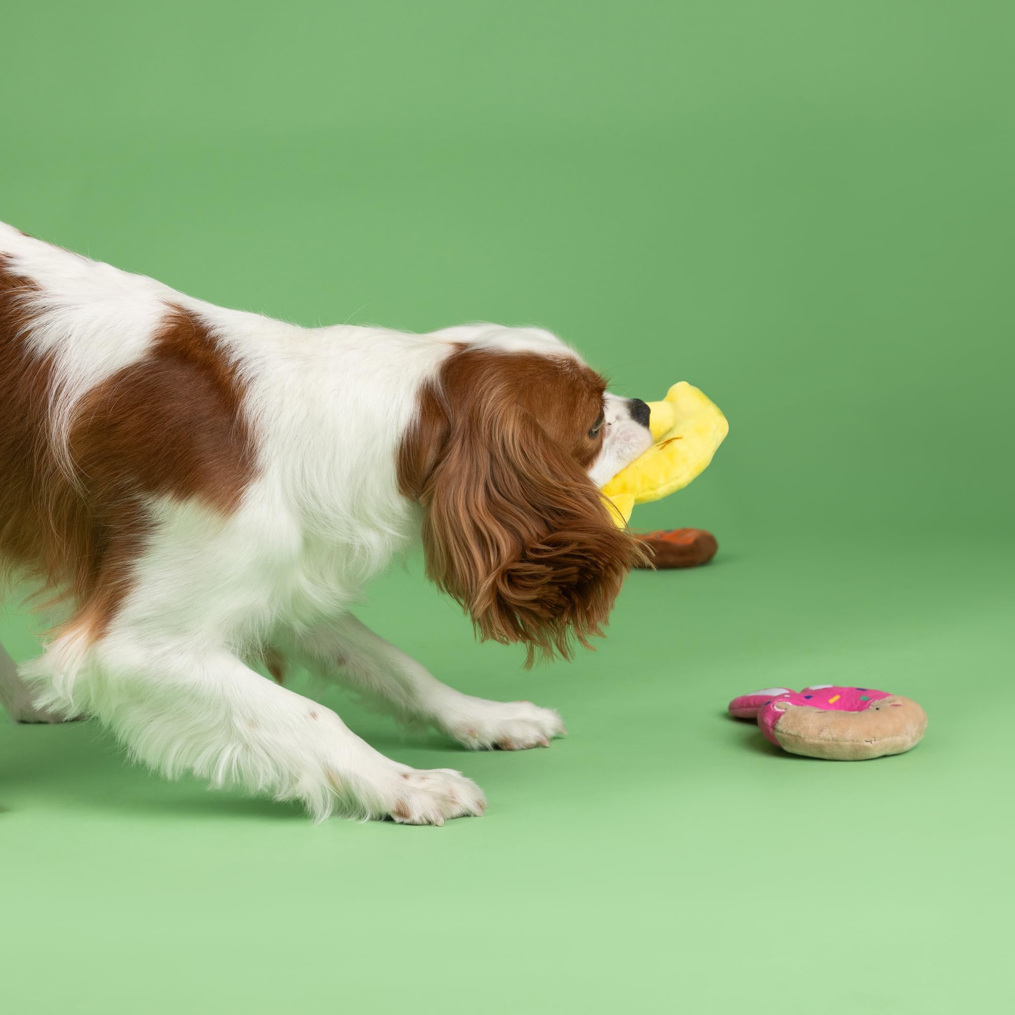 Fringe Studio Plush Dog Toy, 3 Pieces Set, Holey Donuts, Petshop Collection (662098)