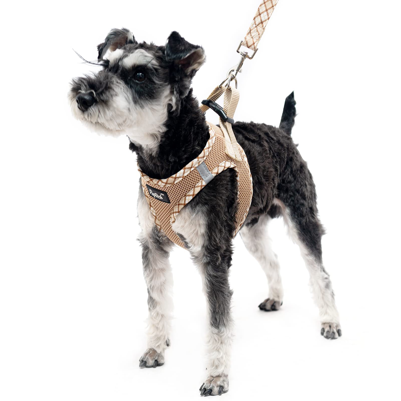 Pupteck Dog Harness And Leash Set For Small Medium Dogs No Pull Step-In Soft Mesh Puppy Cat Vest Harnesses Reflective At Night, Beige M