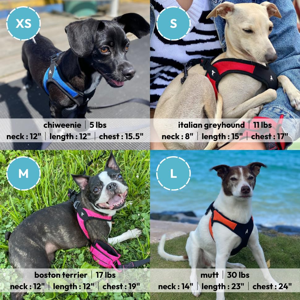 Gooby Escape Free Easy Fit Harness - Orange, Large - No Pull Step-In Patented Small Dog Harness With Quick Release Buckle - Perf
