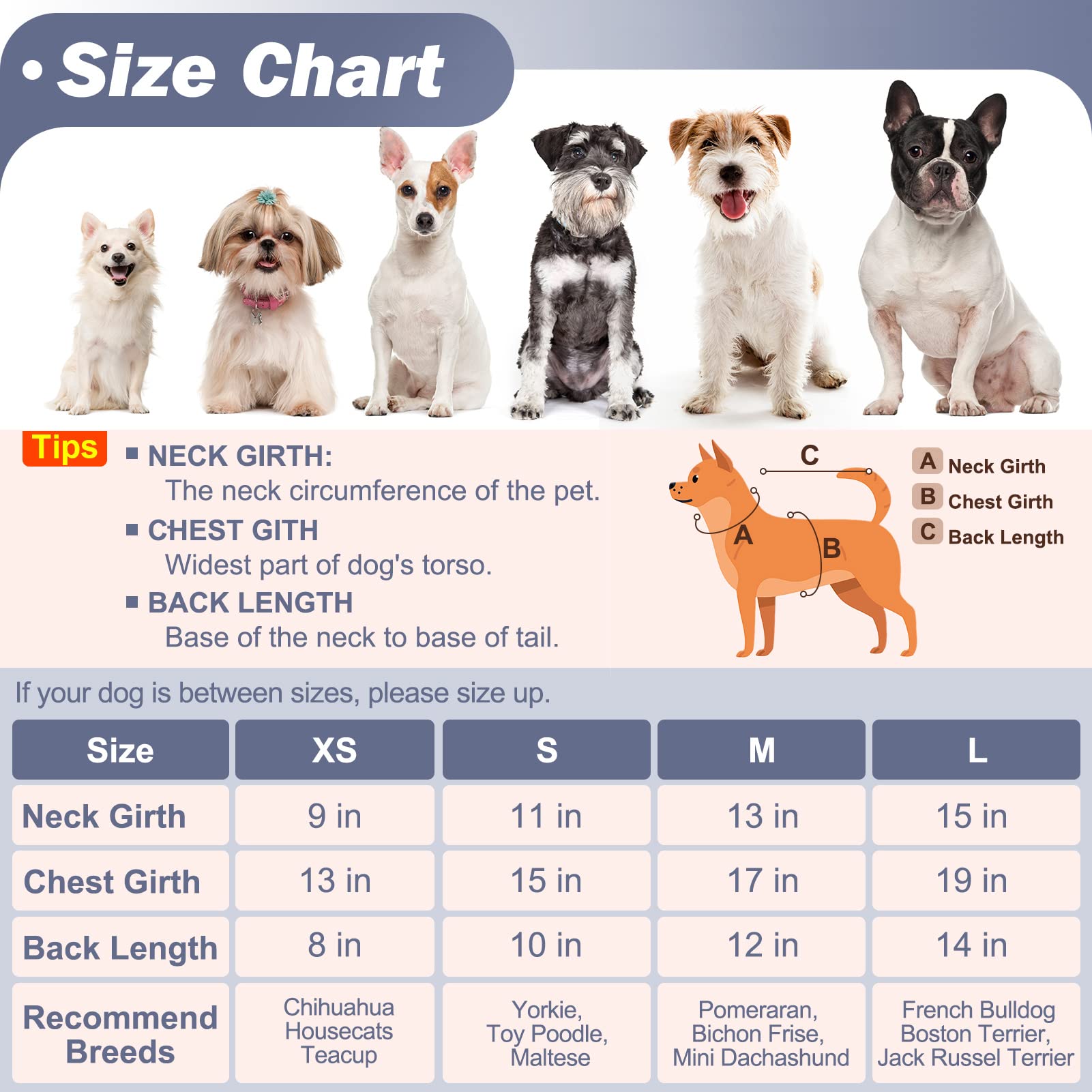 Beautyzoo Dog Fleece Vest Sweater Winter Jacket For Small And Medium Dogs With D-Ring Leash Cold Weather Coat Hoodie For Xs S M Dogs Boy Or Girls