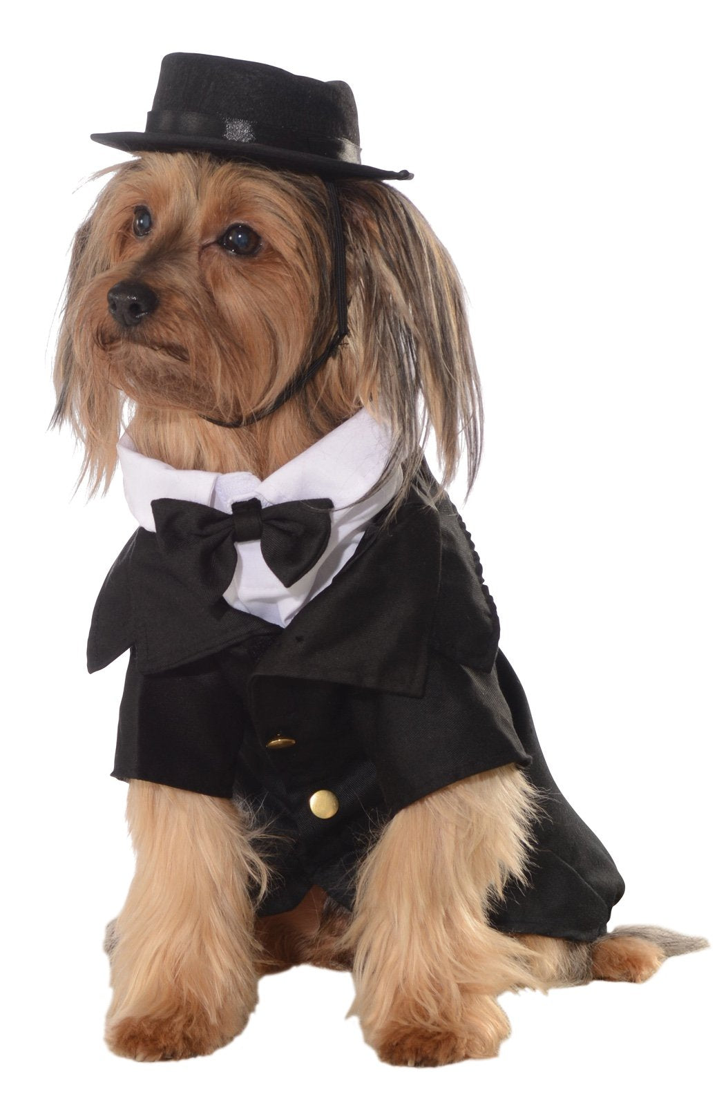 Rubies Costume Halloween Classics Collection Pet Costume, 2X-Large, Dapper Dog