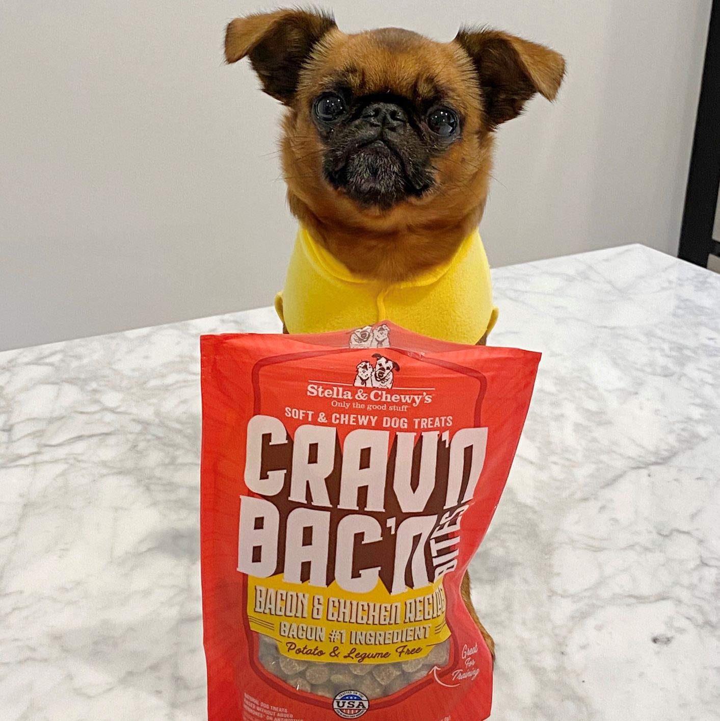 Stella & Chewys Training Dog Treats - Cravn Bacn Soft Bacon & Pork Bites - Premium USA Made - Low Calorie Rewards - 8.25oz