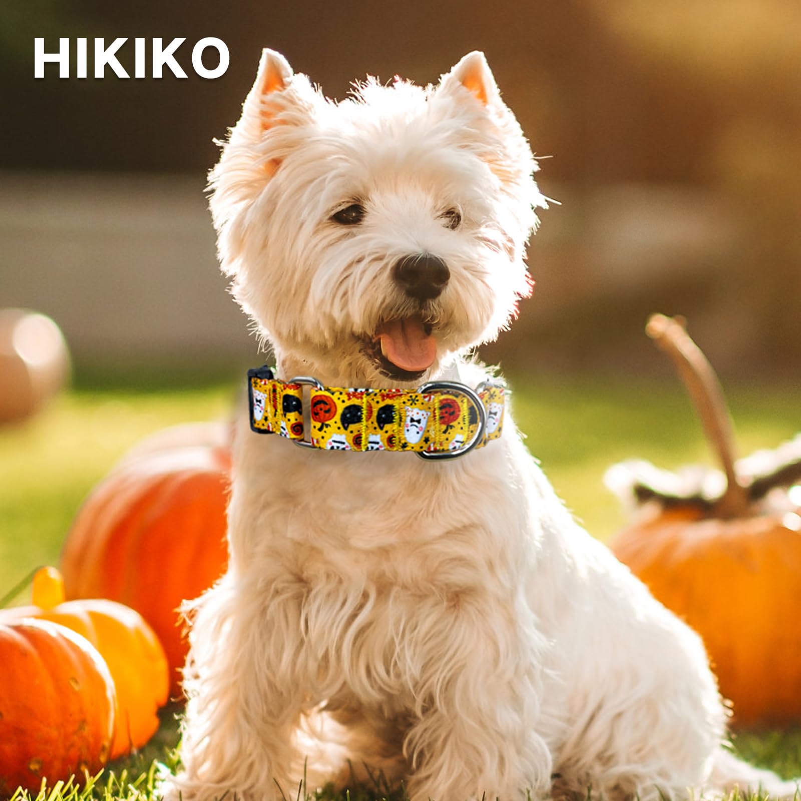Hikiko Martingale Collar For Dogs With Buckle For Small Medium Large Dogs Soft Nylon Halloween Dog Collars Walking Training(Yell