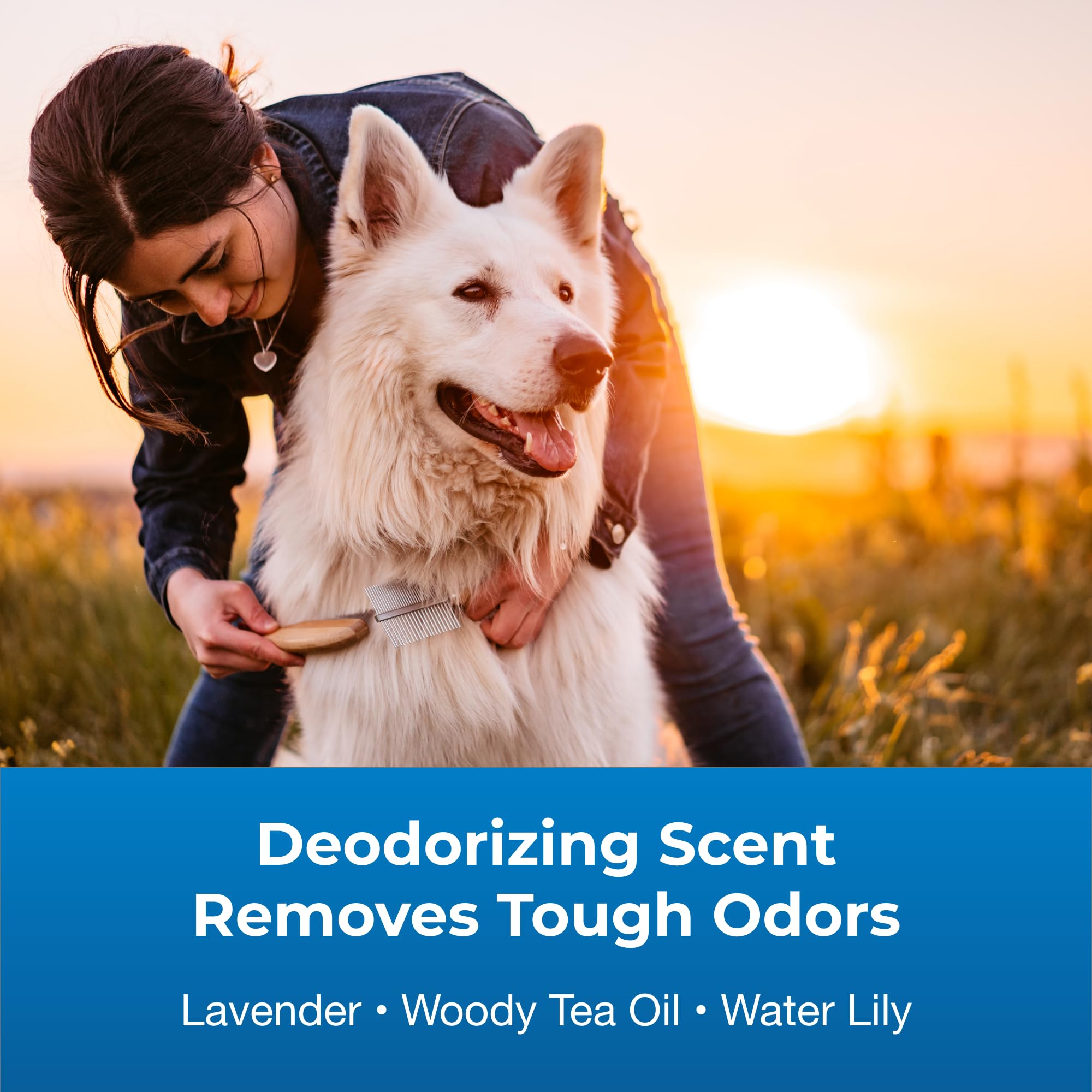 Pet-Ag Fresh ‘N Clean Good Sport Deodorizing Shampoo For Dogs - 18 Oz - Powerful, Odor-Control Formula With Aloe Vera & Vitamin E - Soap Free & Paraben Free