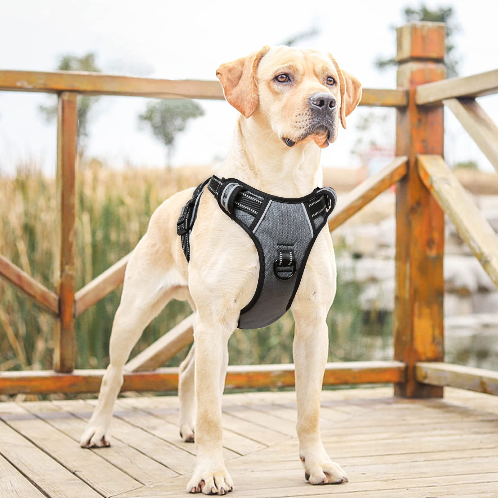 Heele Dog Harness, No Pull Adjustable Padded Reflective Harness For Small Medium Large Dogs With Handle For Walking Training, Gr