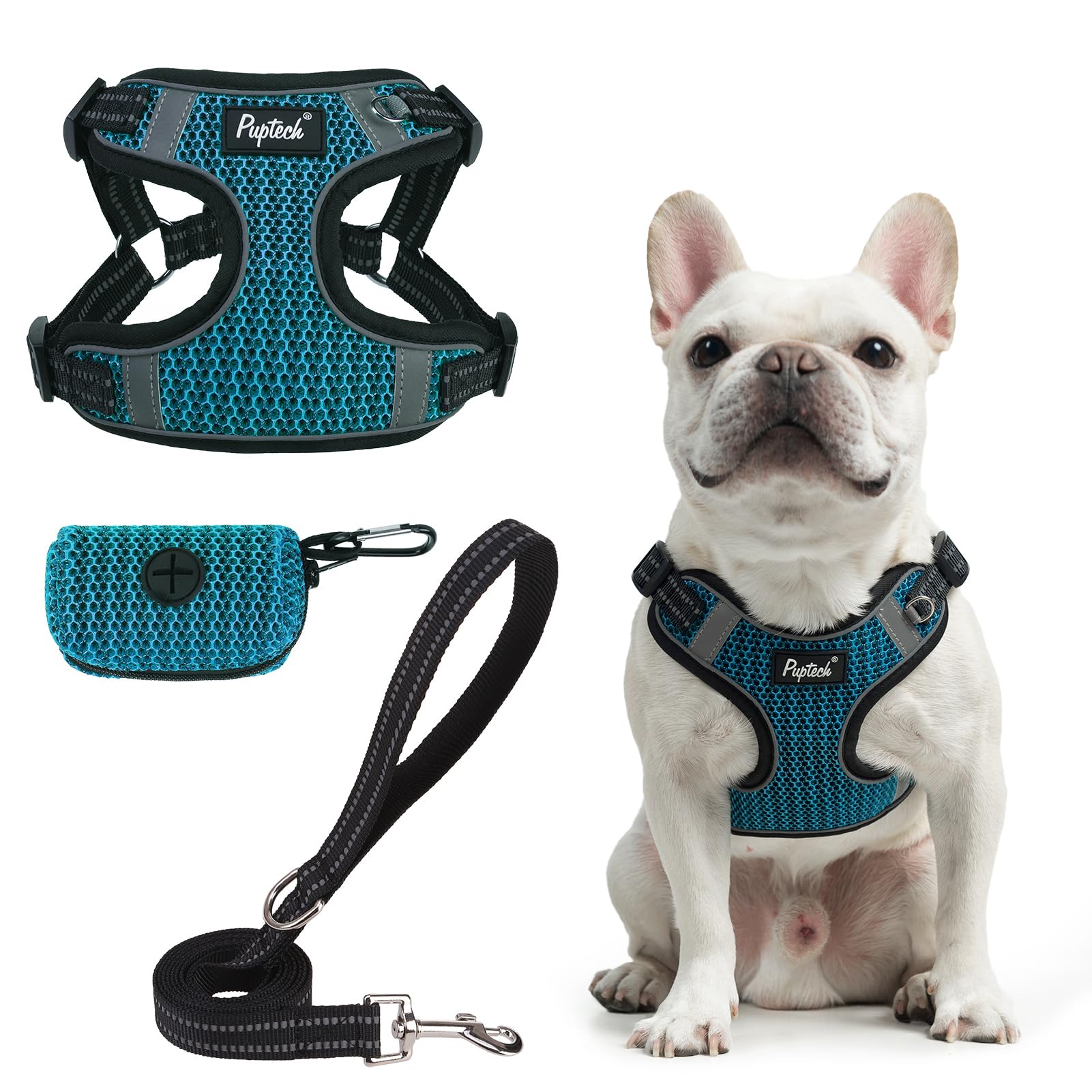 PUPTECK No Pull Dog Harness and Leash Set Reflective No Choke Step in Puppy Halter for XS Small and Medium Sized Dogs, Turquoise