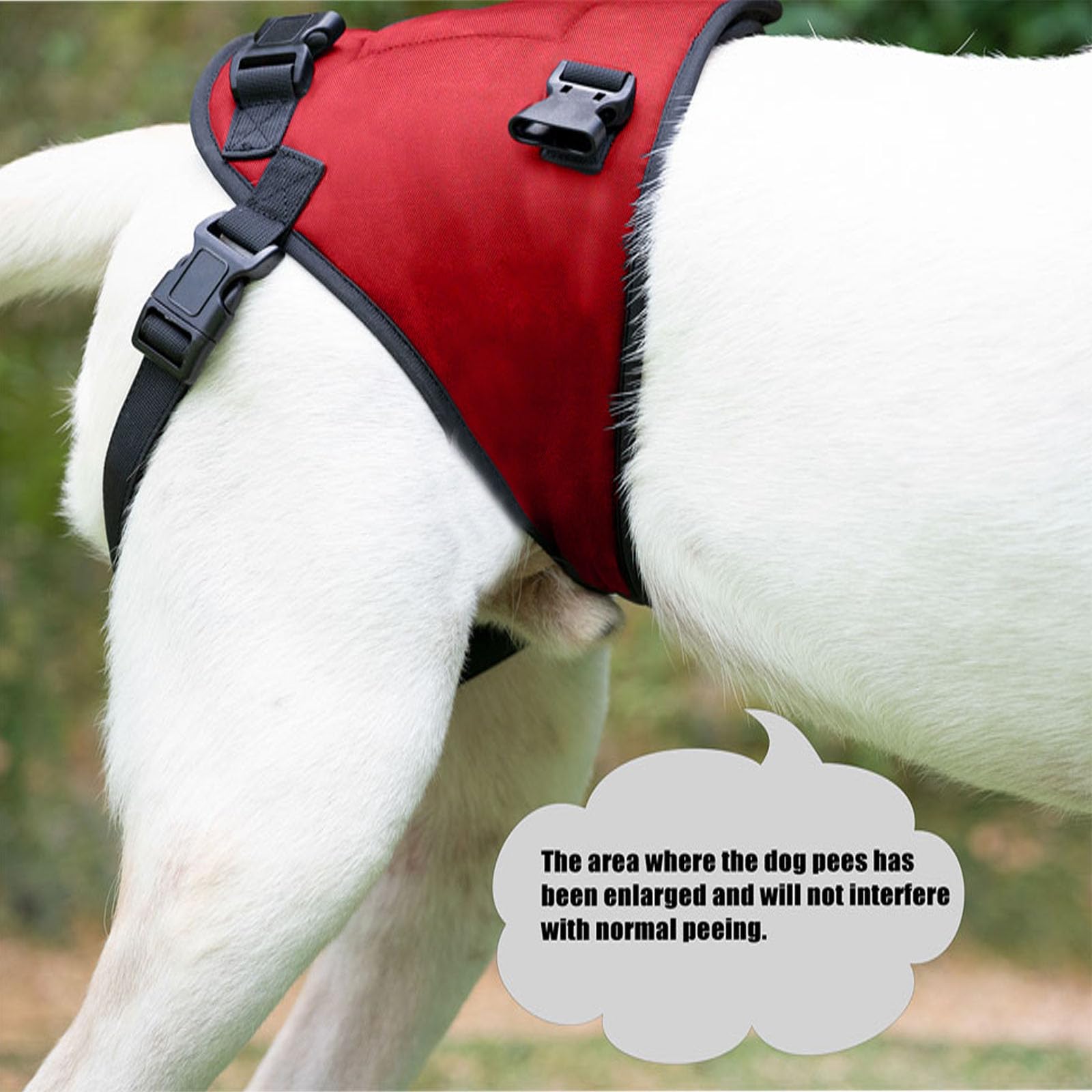 Sling For Dogs With Injuries And Stifle Weakness - Support Device For Disability And Injuries - Dog Carrier For Arthritic Anteri