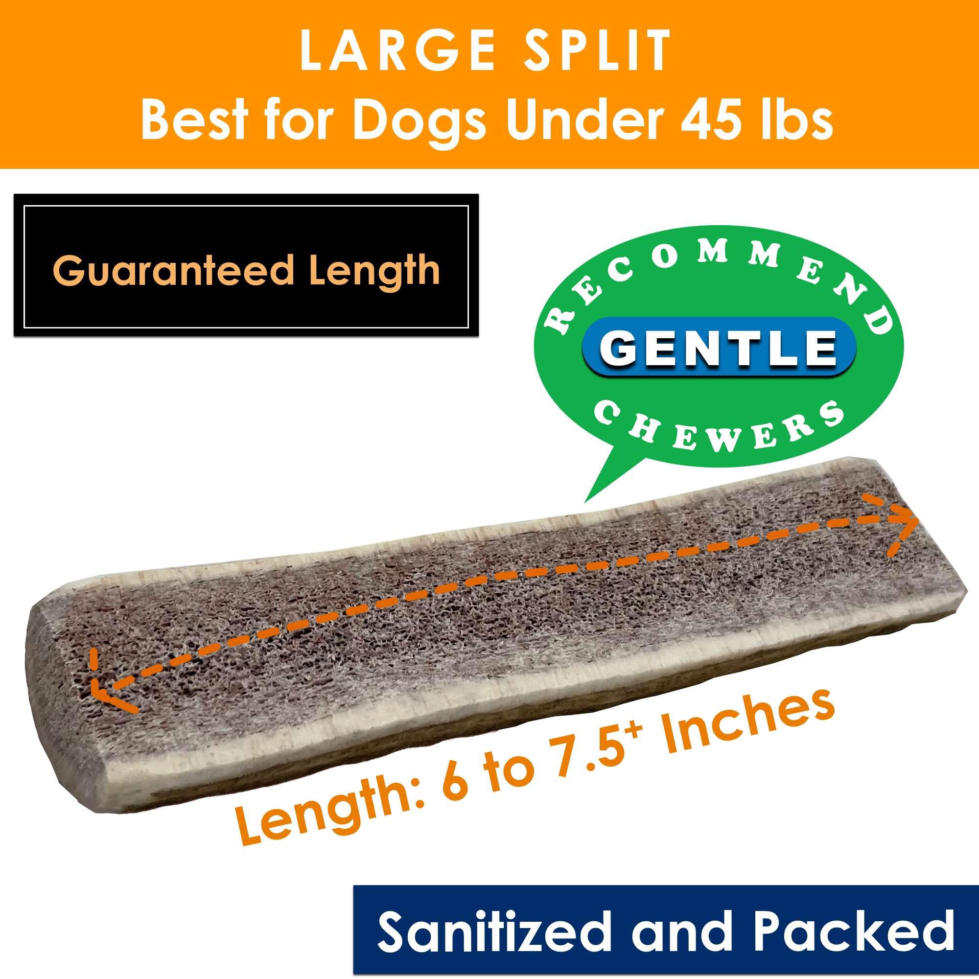Deluxe Naturals 3-Pack Large Split Elk Antler Dog Chews (6 to 7.5+ in) - All-Natural, Long-Lasting Antlers for Small & Medium Do