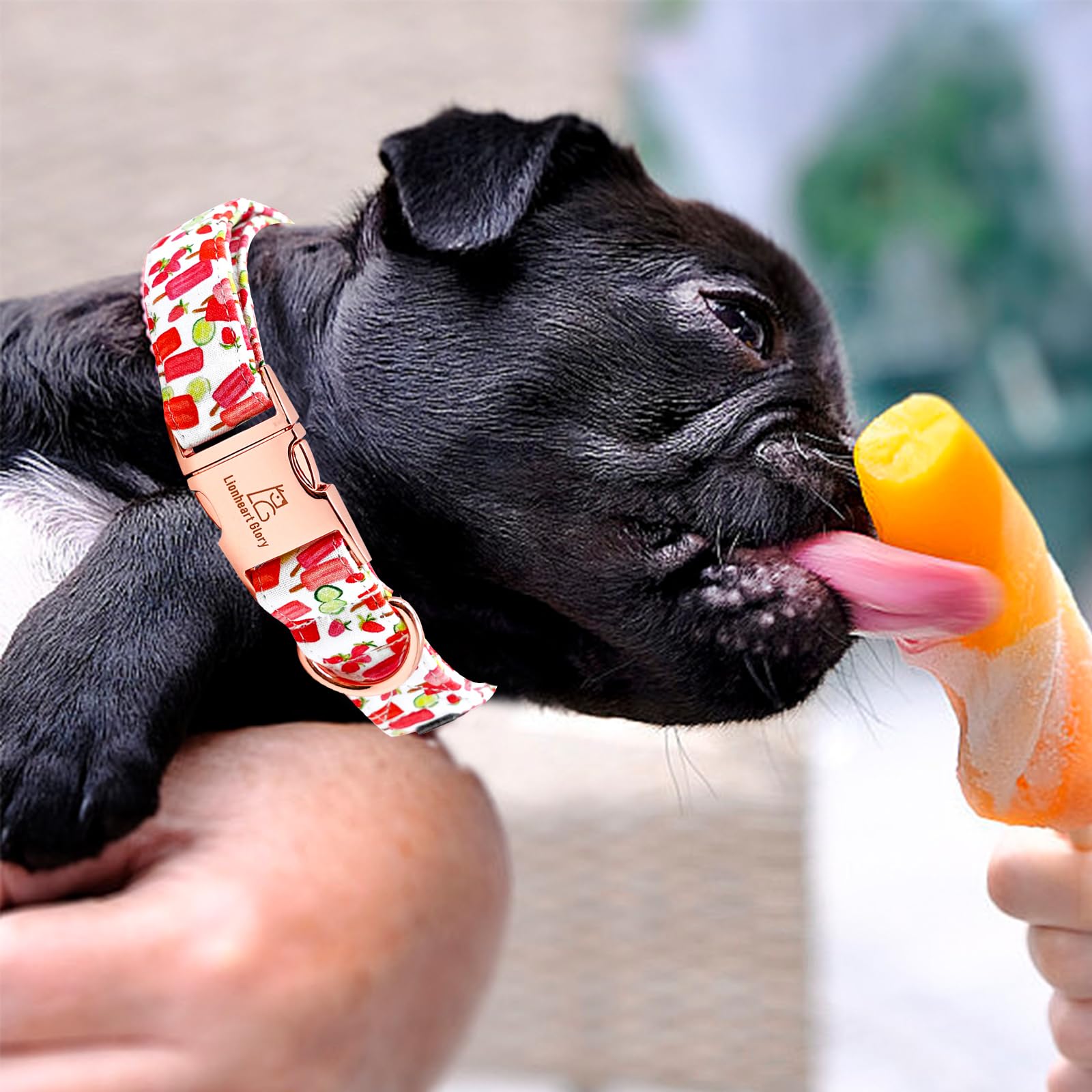 Lionheart Glory Popsicle Print Dog Collar - Soft, Durable, Adjustable For Small Dogs - Spring/Summer