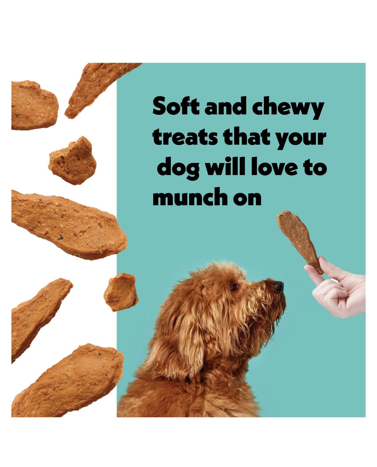Wiggles & Wags Meaty Strips Dog Treats, Salmon Flavor, 16 oz with DN Essentials Bone Shaped Waste Bag Dispenser & Free Roll