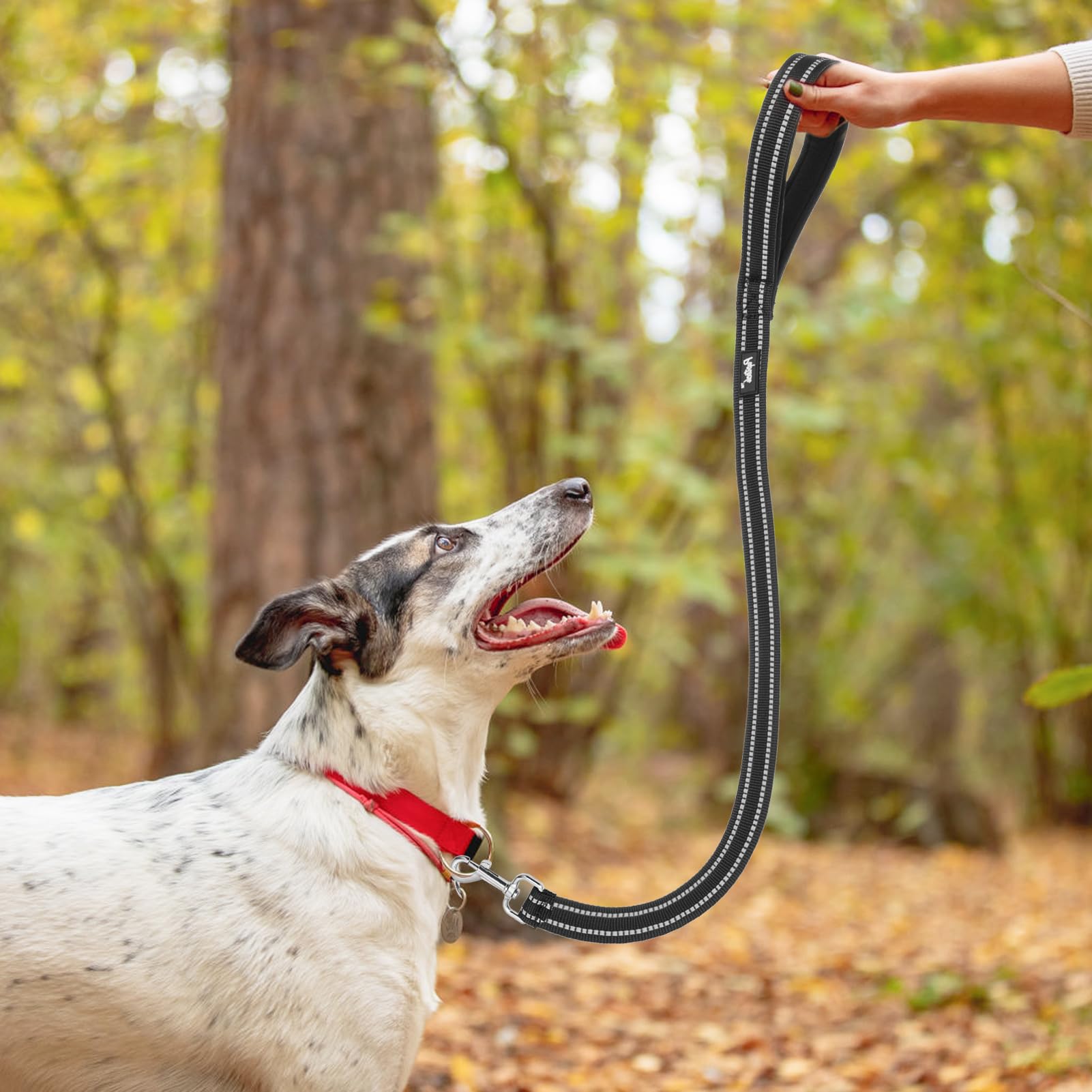 Pupteck Reflective Short Dog Leash - 3 Packs 2.5Ft/ 1.5Ft/ 1Ft Nylon Dog Leash With Strong Clip, And Soft Padded Handle, Durable Training Leash For Small Medium Large Dogs Cats Walking Outside