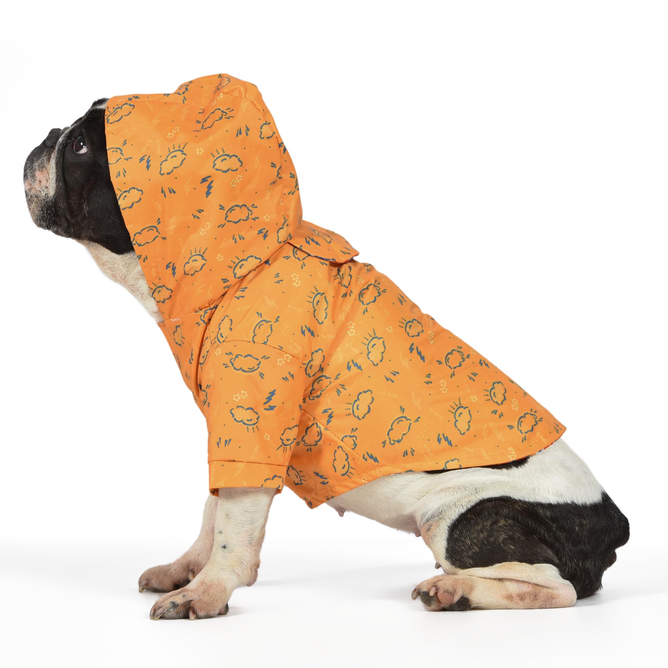The Dodo Rainy Days Printed Raincoat for Dogs, Orange, Size Medium; Water Resistant Dog Raincoat with Hook-and-Loop Drape Closur