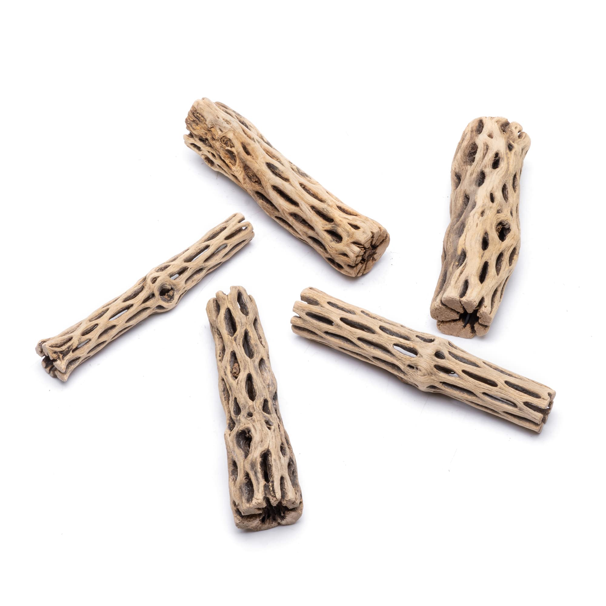 SubstrateSource Natural Cholla Wood Logs - Driftwood for Aquariums, Fish Tanks, Shrimp, Hermit Crabs, Reptiles - 4 and 6 Inch Pi