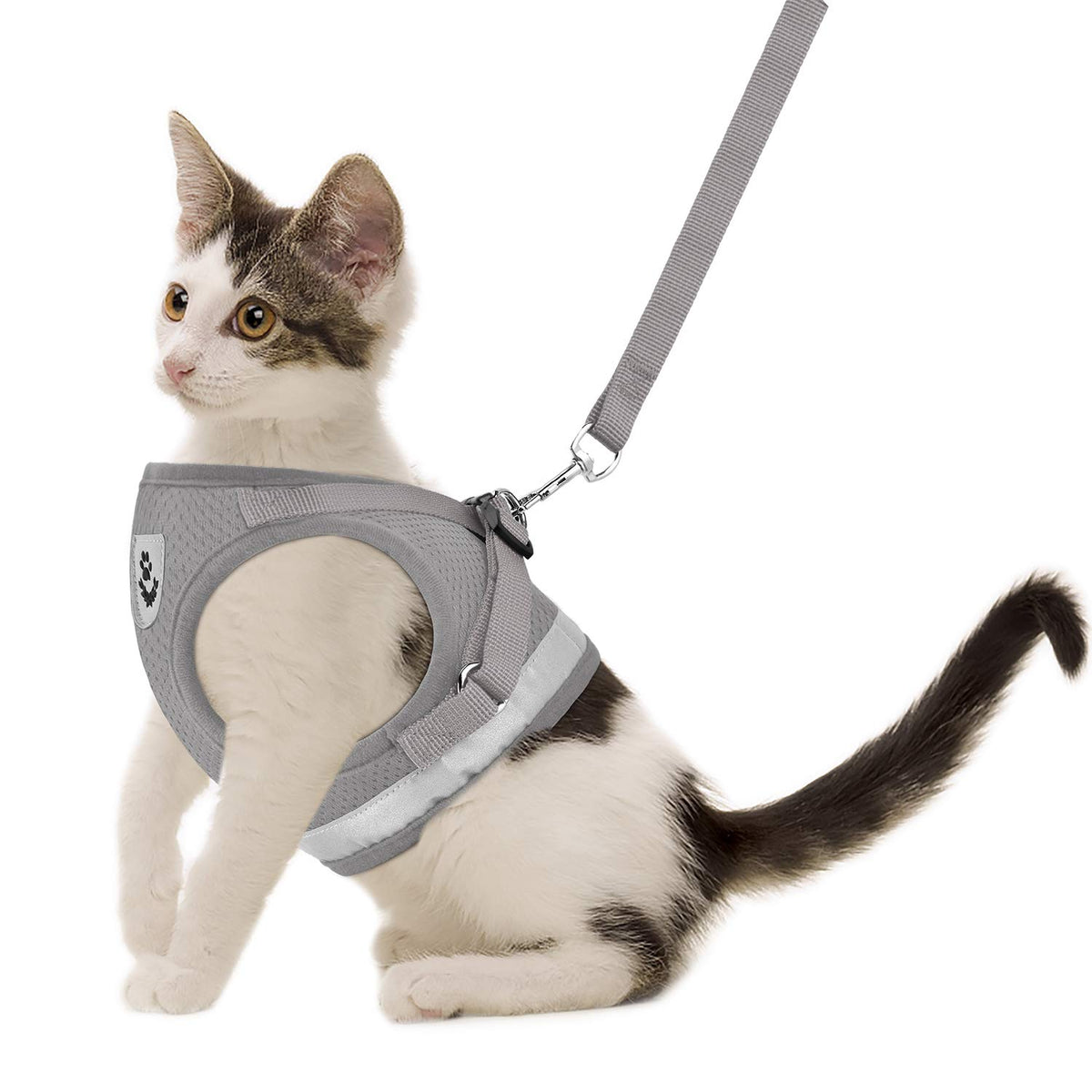 Cat Harnesses And Puppy Harness With Leashes Set, Escape Proof Cat Harness, Adjustable Reflective Soft Mesh Vest Fit Puppy Kitten Rabbit Ferrets'S Outdoor Harness (Grey, S, Chest: 9' - 11')