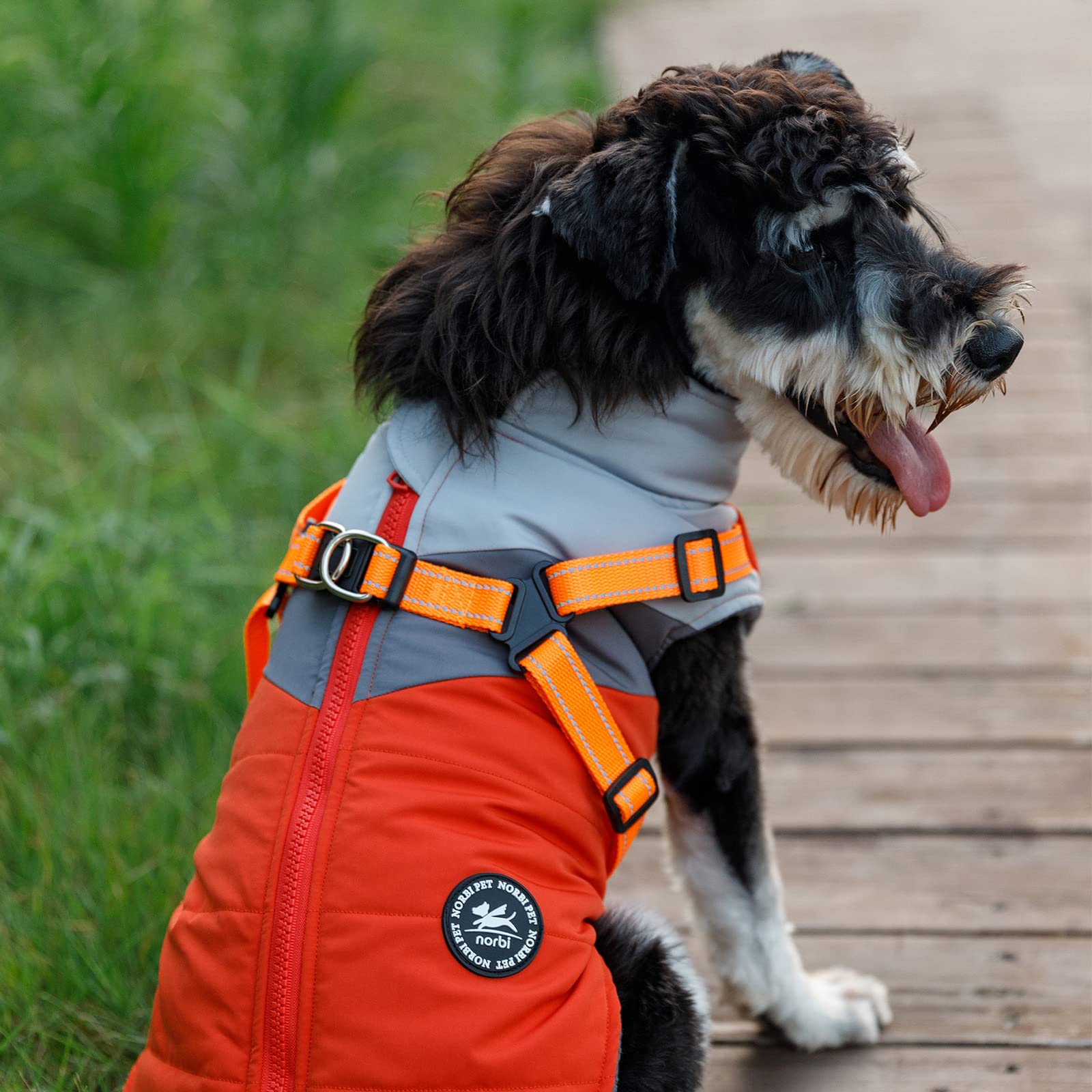 Norbi Pet Warm Jacket Small Dog Vest Harness Puppy Winter 2 In 1 Outfit Cold Weather Coat (Medium, Orange-A)