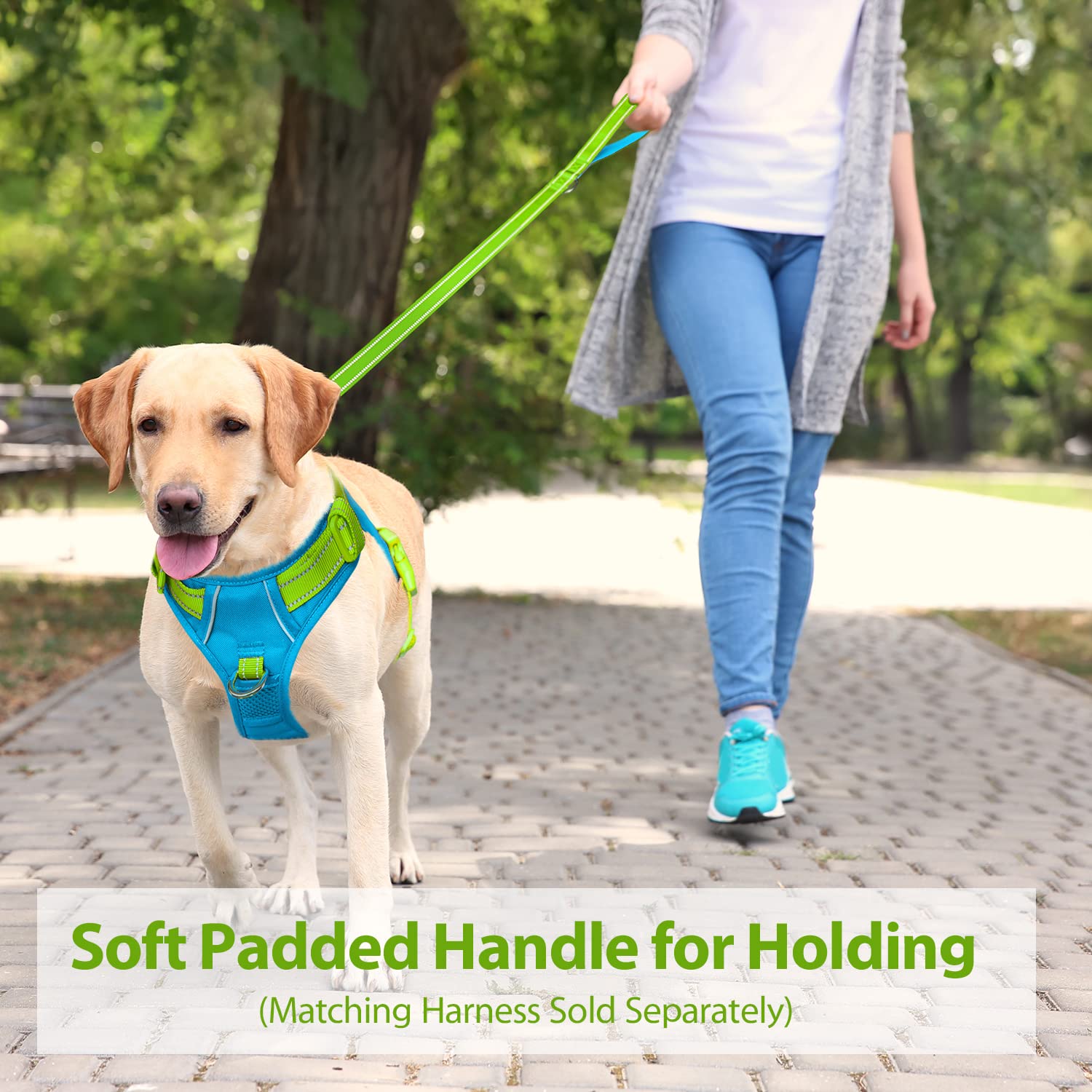 Phoepet 5 Feet Dog Leash - Dual-Side Reflective - Soft Padded Handle - Fit For Walking, Training Or Exploring Hiking, Camping (G