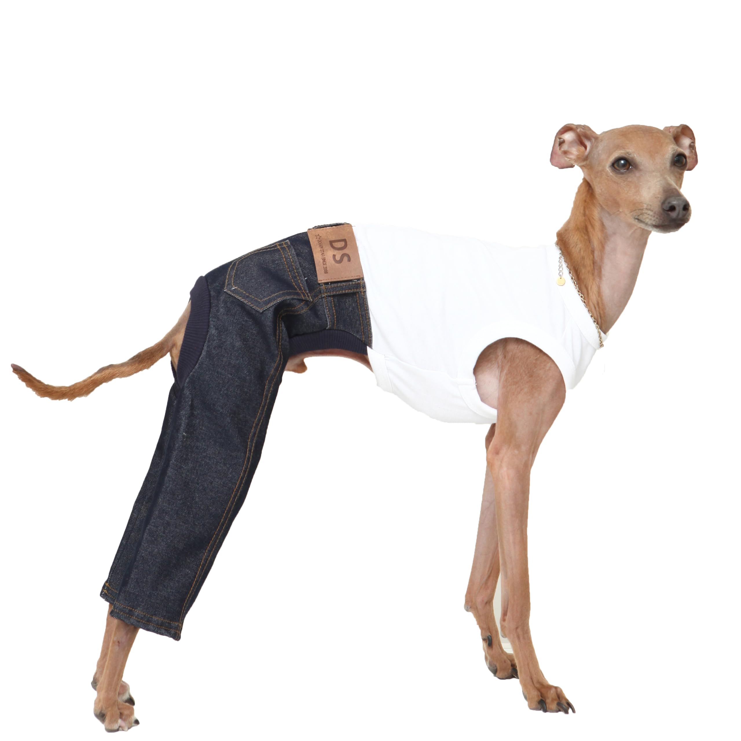 D Doggy Star Italian Greyhound Clothes Sleeveless Jeans Onesie Outfit Whippet For Dog Coat (Xl,Blue Jean)