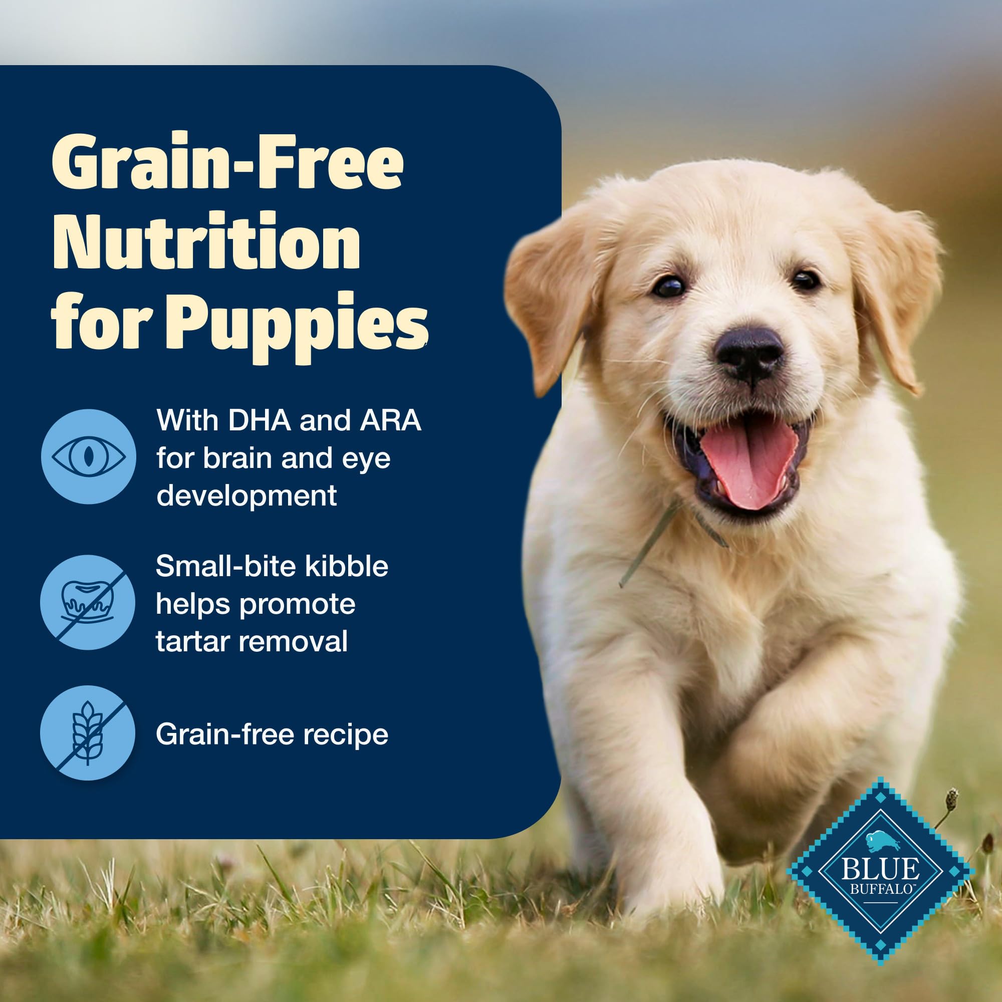 Blue Buffalo Freedom Grain-Free Puppy Dry Dog Food With DHA, Complete & Balanced Nutrition for Puppies, Made in the USA With Nat
