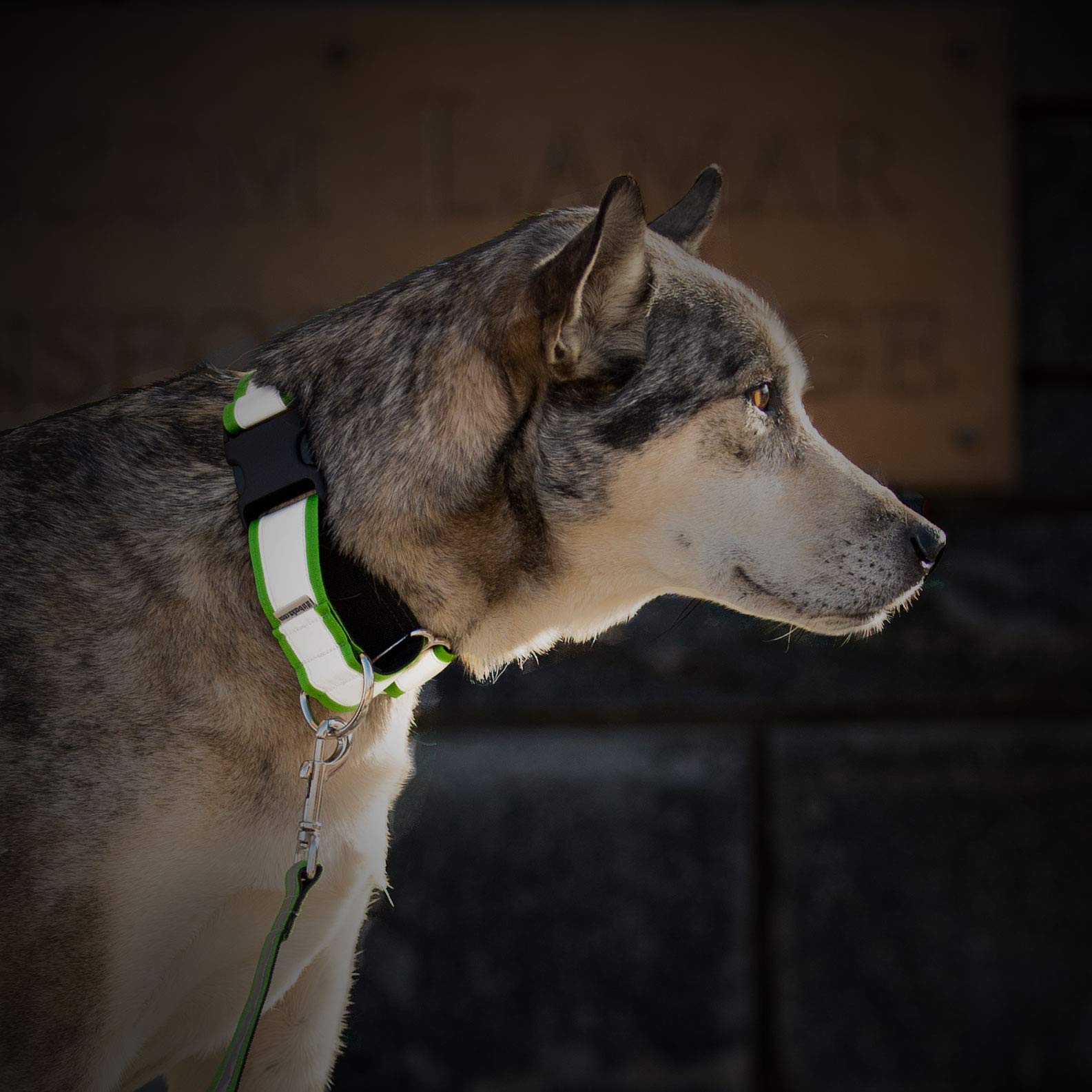If It Barks - 1.5'' Reflective Martingale Collar for Dogs - Adjustable - Made in USA - Strong, Durable, and Comfy - Ideal for Tr