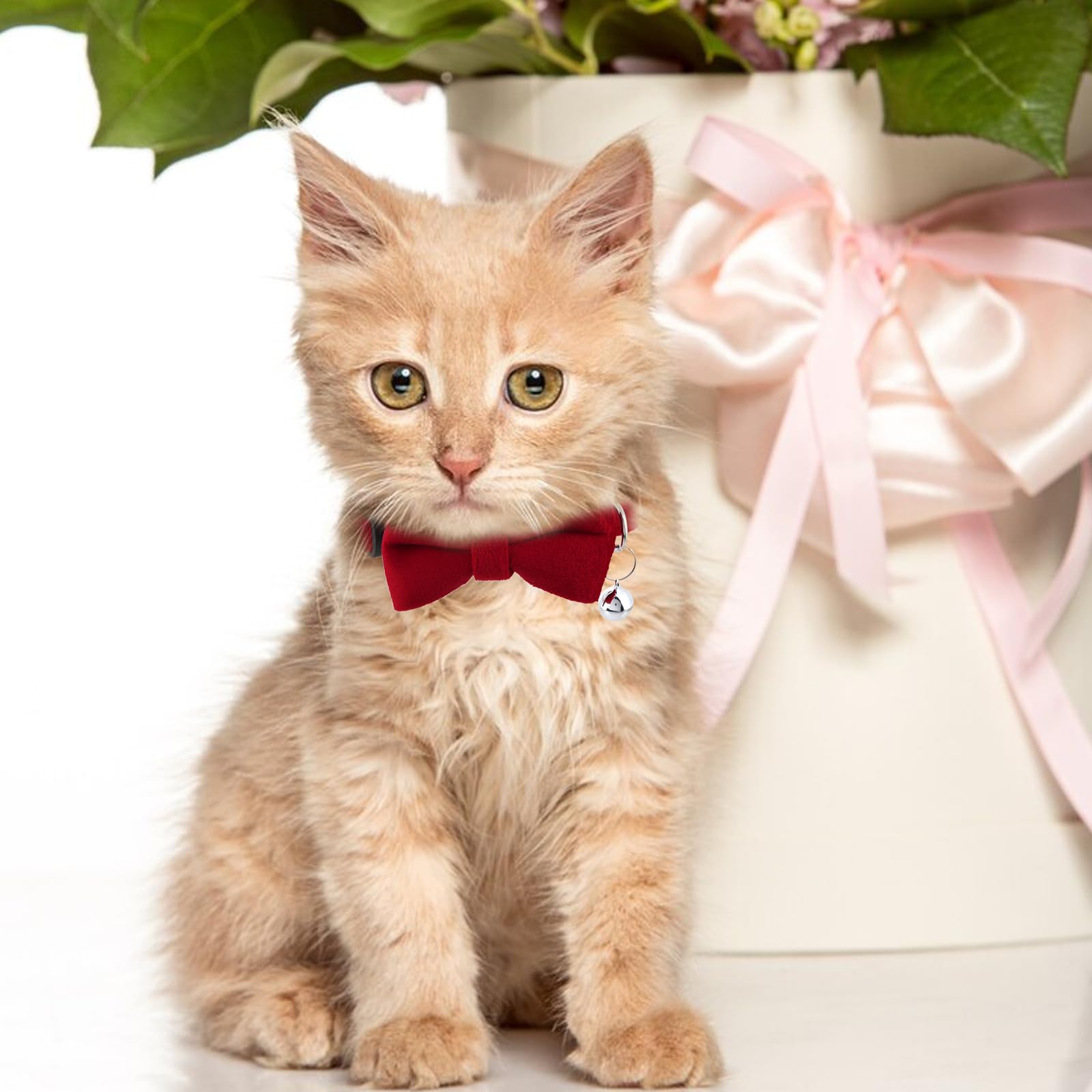 Cat Collars Breakaway With Cute Bow Bell Cat Collars Kitten Small Puppy Safety Bow Tie Basic Color Velvet Kitten Collar Gentleme