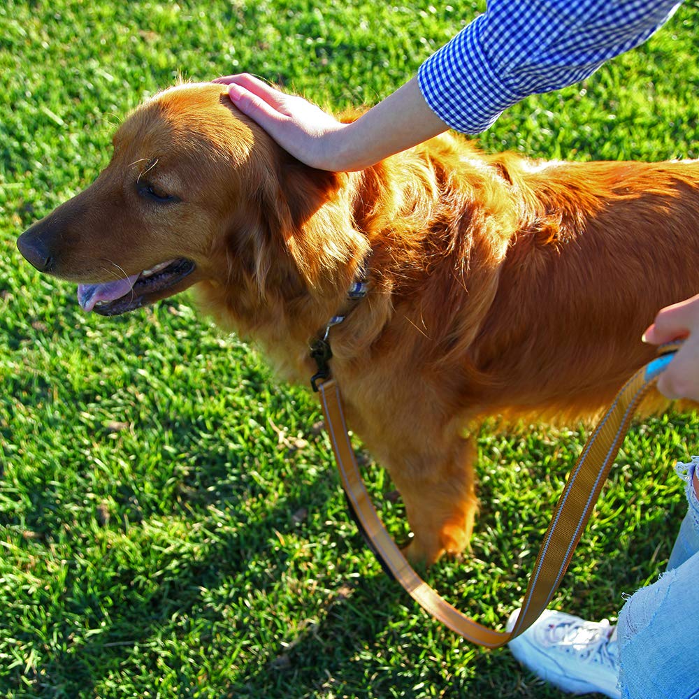 Bluepaw- Soft &Thick Dual Handle 6Ft Long Dog Leash, Premium Strength Double Padded Handles - Great Control For Medium To Large