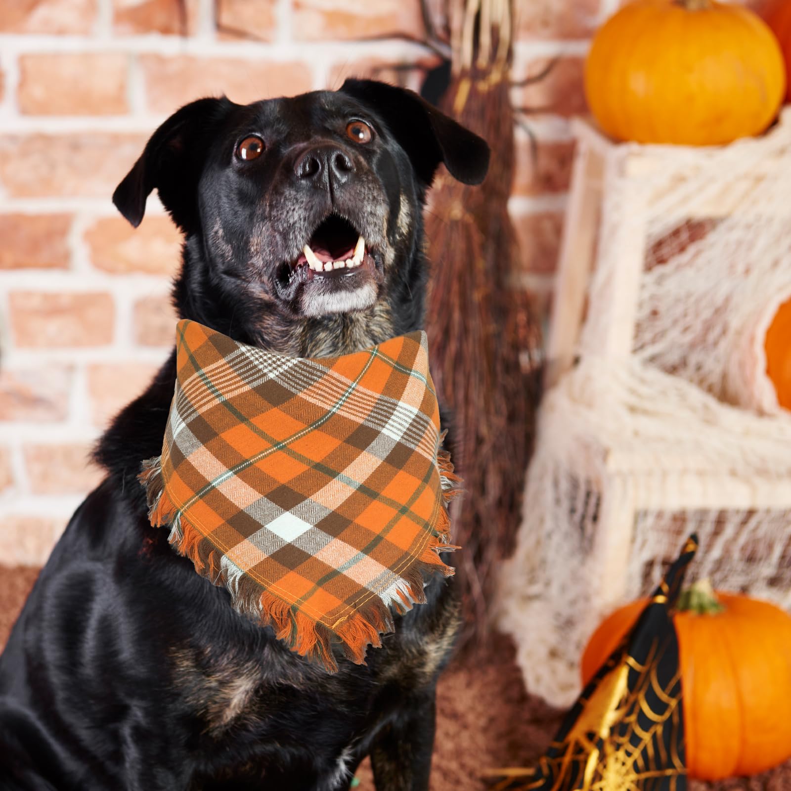 Viretec Fall Dog Bandana, Thanksgiving Autumn Dog Bandana Orange Plaid Pet Scarf For Boy And Girl, Seasonal Holiday Reversible Triangle Bibs For Large X-Large Dogs And Cats