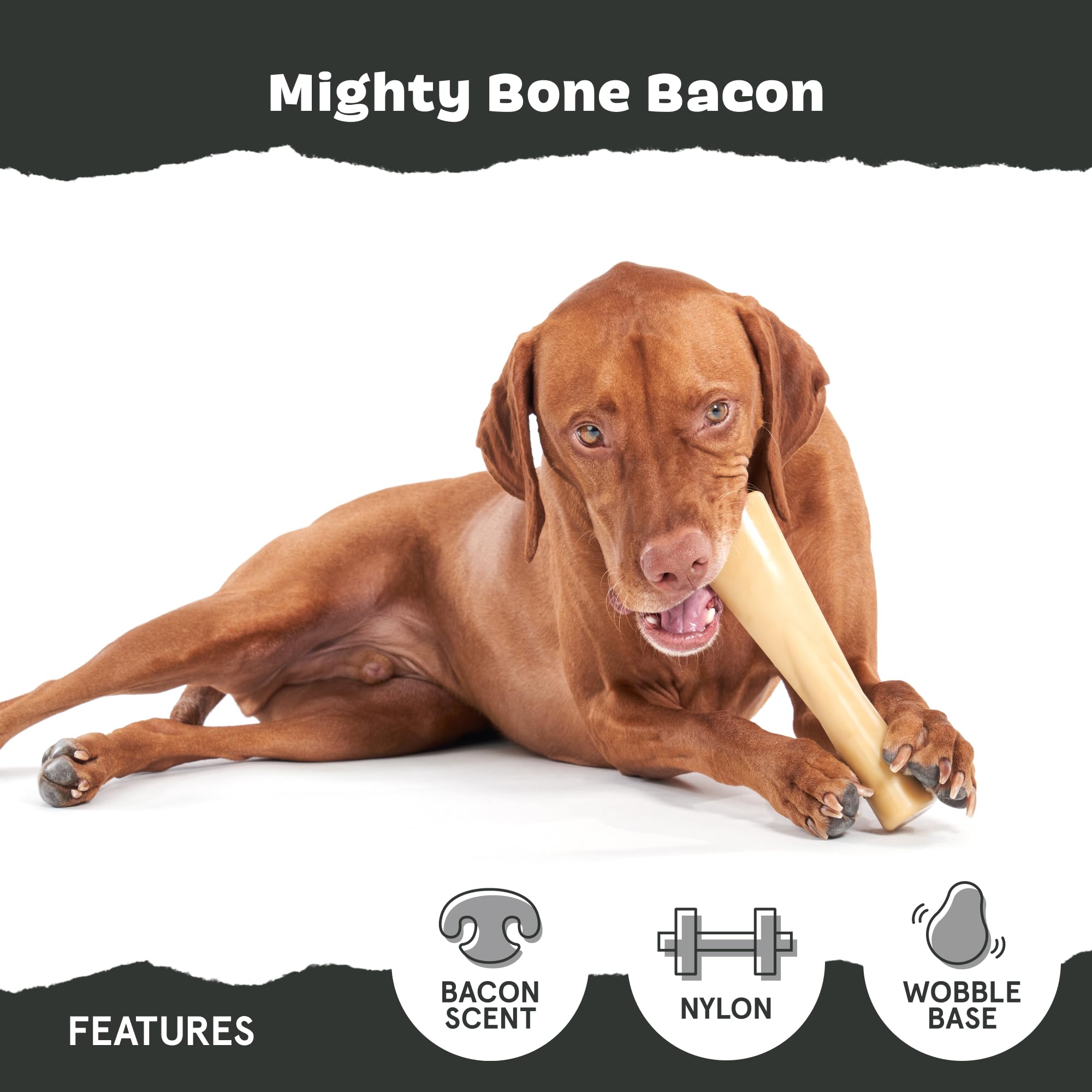 Barkbox Super Chewer Tough Dog Chew Toys For Aggressive Chewers, Dental Stimulating (Bacon Bone - Large)