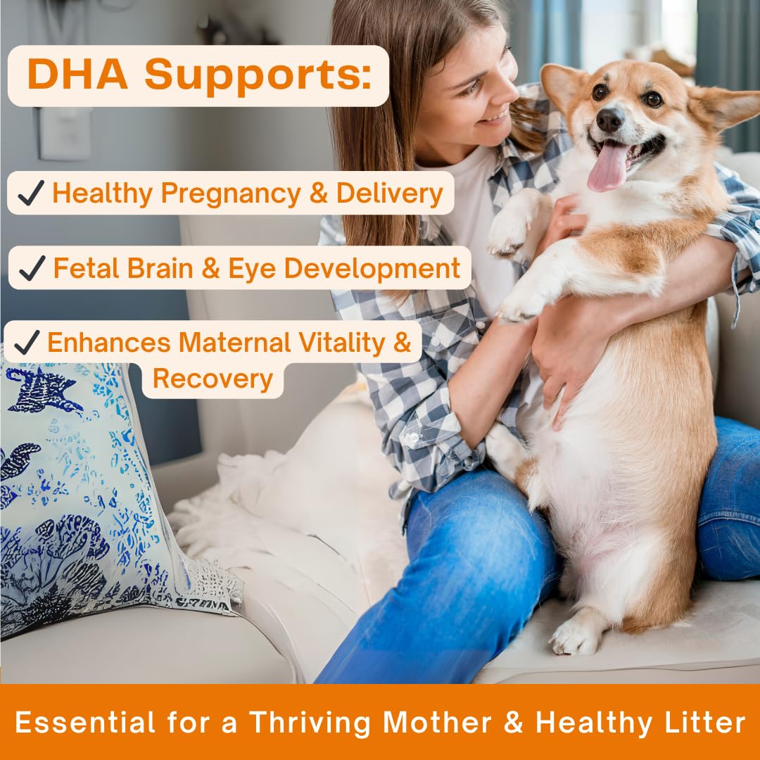 Omega 3 Fish Oil for Dogs & Cats | Dog Prenatal Vitamins | Joint Support | Brain & Heart Health | Pure EPA DHA Omega 3 for Dogs