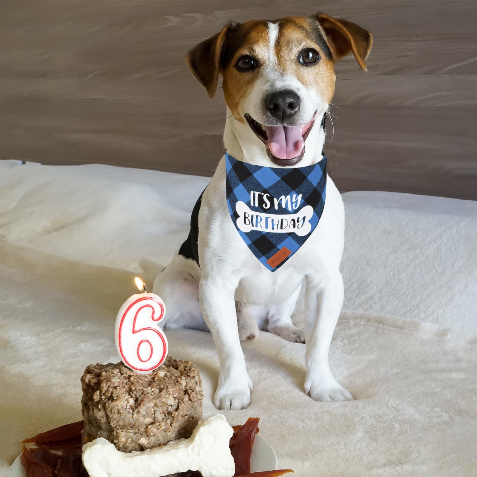 PTDECOR Dog Birthday Party Supplies, Its My Birthday Scarf Blue Plaid Boy Pet Bandana for Medium Large Dogs (Blue, Large)