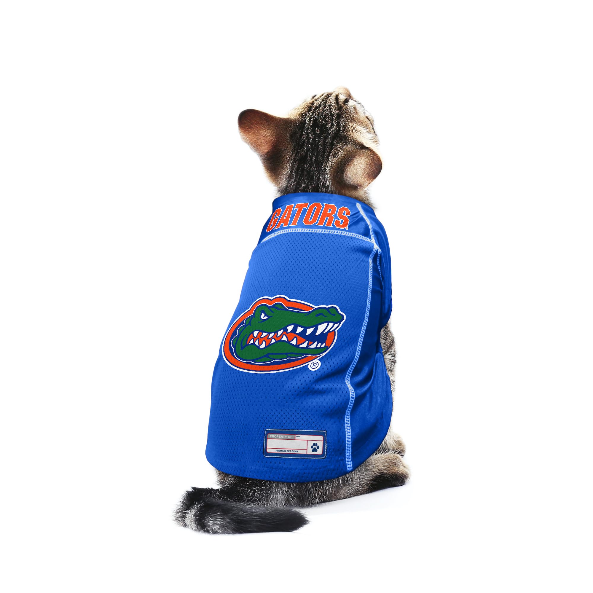 Littlearth Unisex-Adult Ncaa Florida Gators Basic Pet Jersey, Team Color, Small