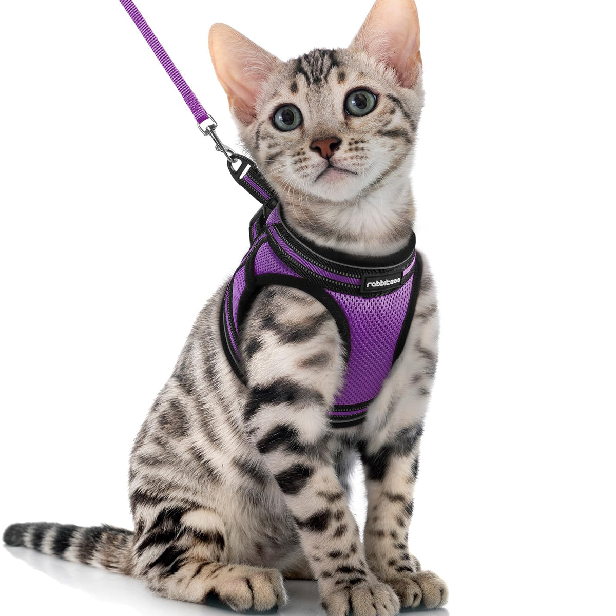 Rabbitgoo Cat Harness And Leash Set For Walking Escape Proof, Adjustable Soft Kittens Vest With Reflective Strip For Cats, Comfortable Outdoor Vest, Purple, Xl
