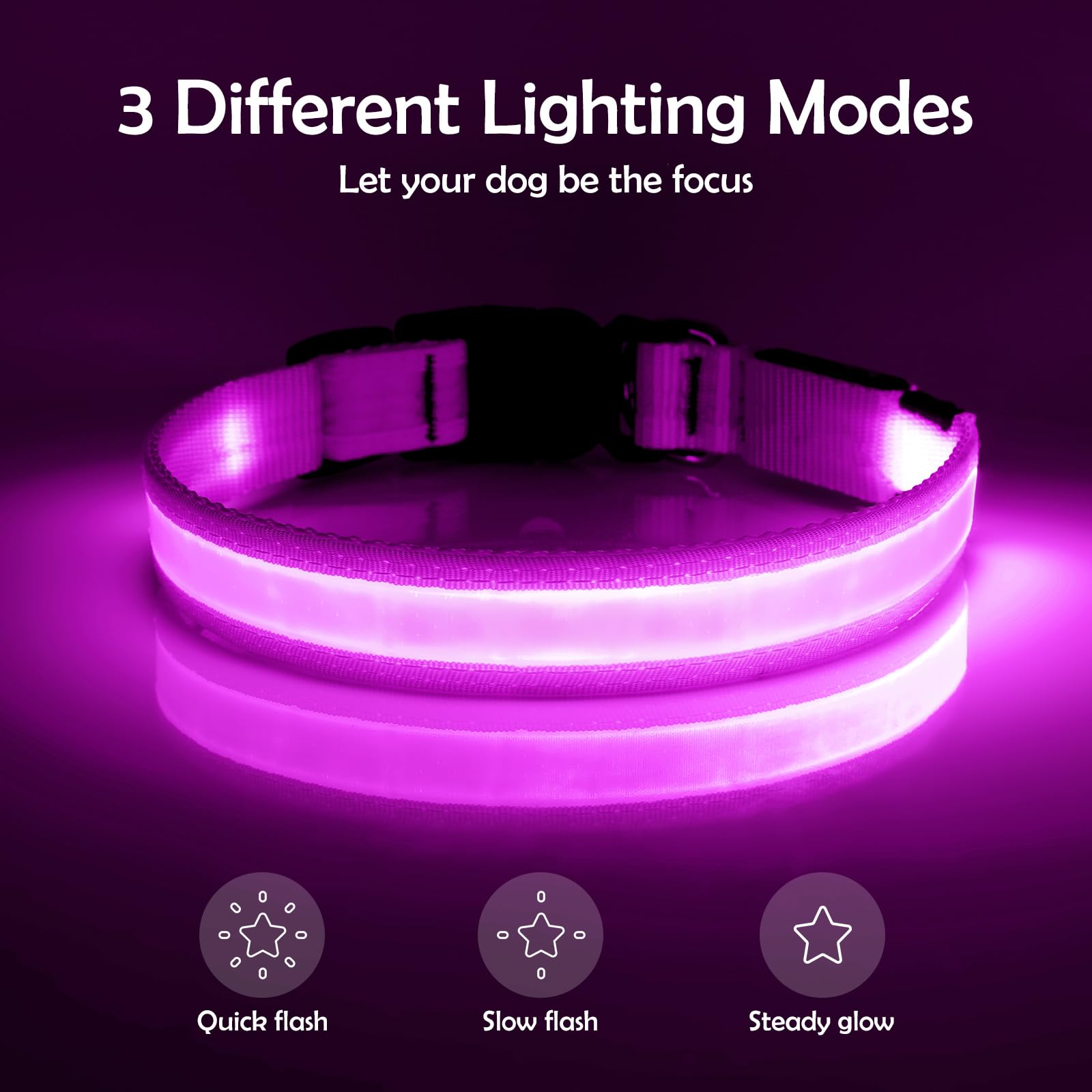 Vizpet Led Dog Collar, Light Up Dog Collar Adjustable Usb Rechargeable Super Bright Safety Light Glowing Collars For Dogs (Purpl