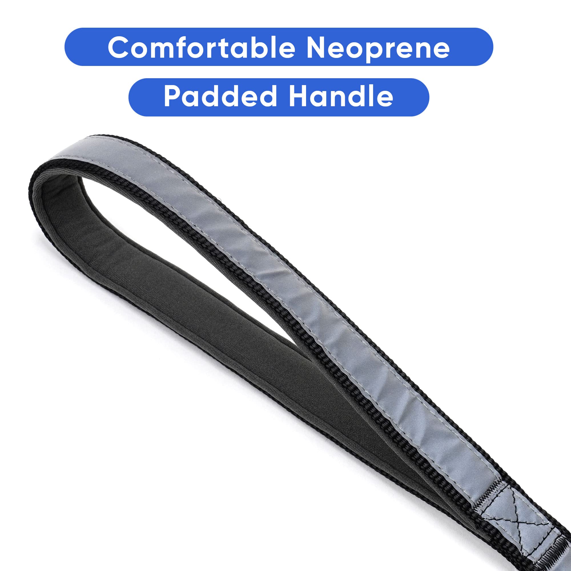 Pawtitas 6 FT Padded Dog Leash with Comfortable Neoprene Padding Handle - Black Lead | Medium Reflective Dog Leash with Highly R