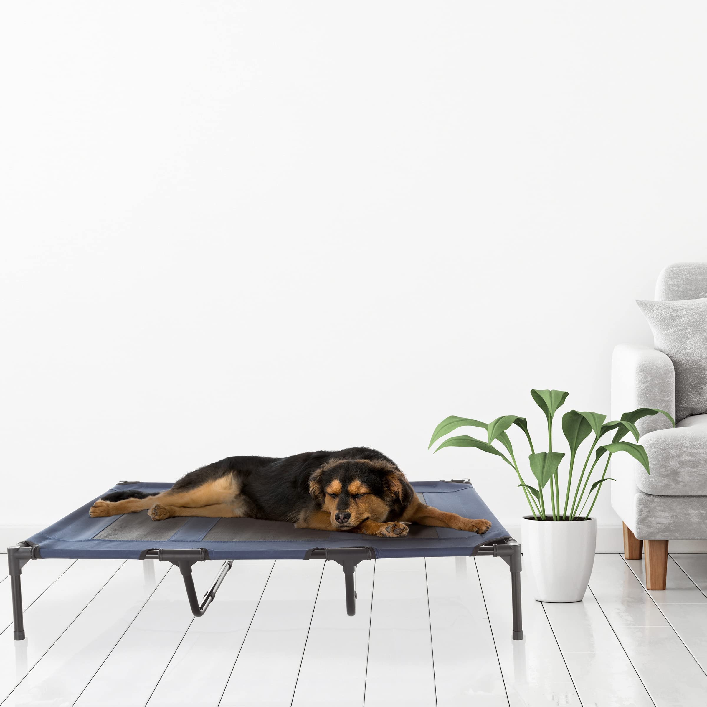 Elevated Dog Bed - 48X35.5-Inch Portable Pet Bed With Non-Slip Feet - Indoor/Outdoor Dog Cot Or Puppy Bed For Pets Up To 110Lbs