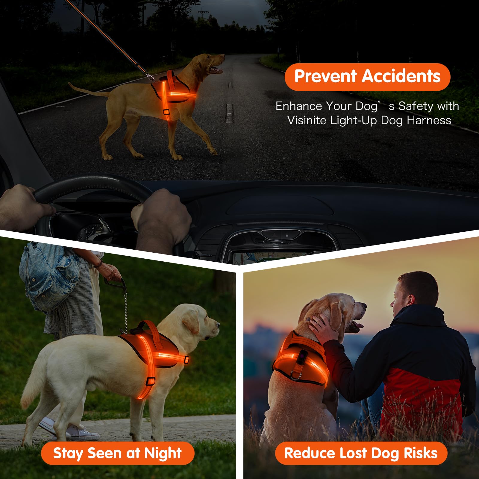 Light Up Dog Harness, No-Pull Led Dog Harness Rechargeable, Reflective Glow In The Dark Dog Vest Harness, Adjustable & Comfort P