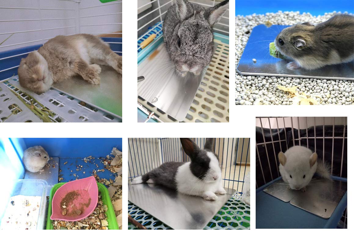 Comtim Rabbits Cooling Mat, Self Cooling Mat Pad For Hamster Guinea Pig Chinchilla Bunny Kitten Cat And Other Small Animals, Pet Cool Plate Ice Bed, Rapid Cooling - Perfect For Hot Summer Weather, M