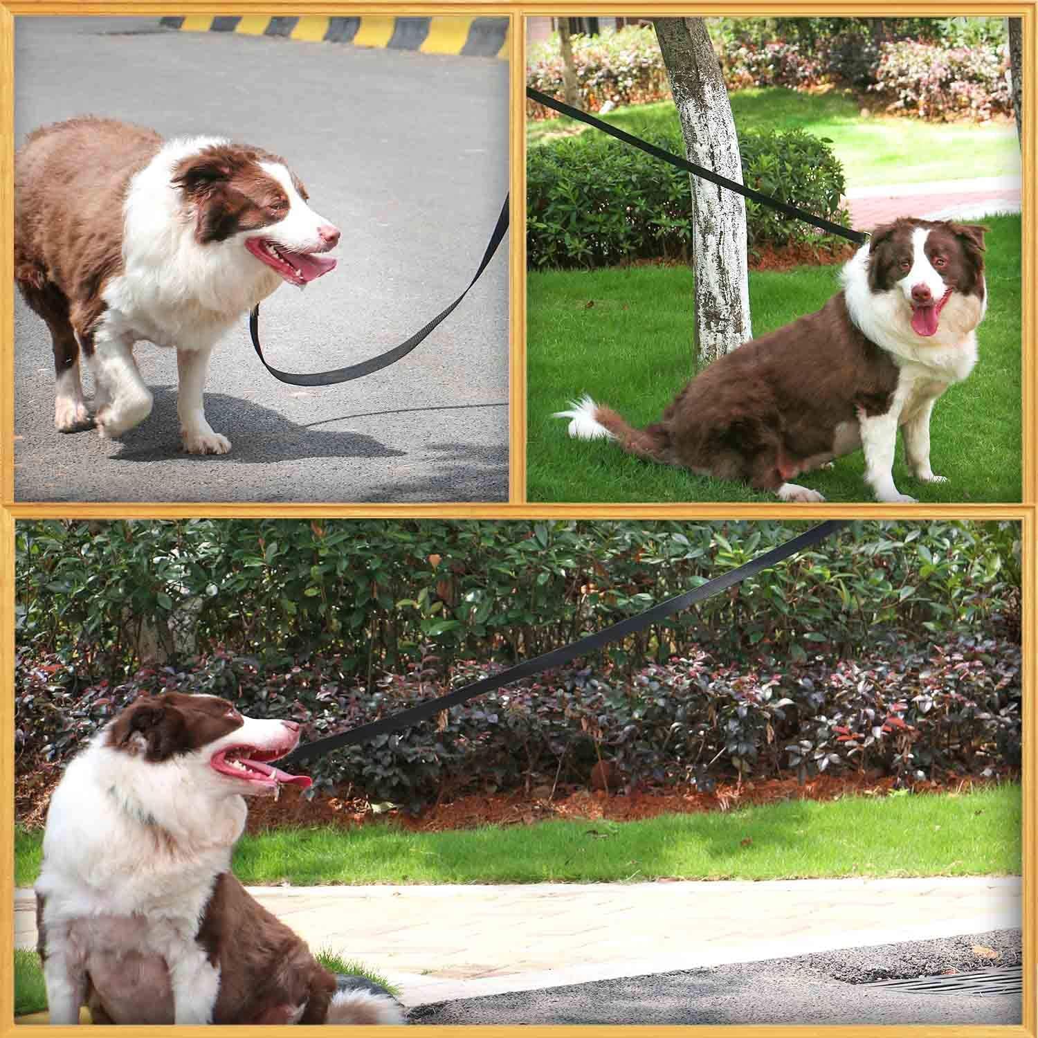 Amagood 6 Ft Cat Leash, Strong And Durable Traditional Style Leash With Easy To Use Collar Hook,Cat Lead Great For Cats (3/4 In