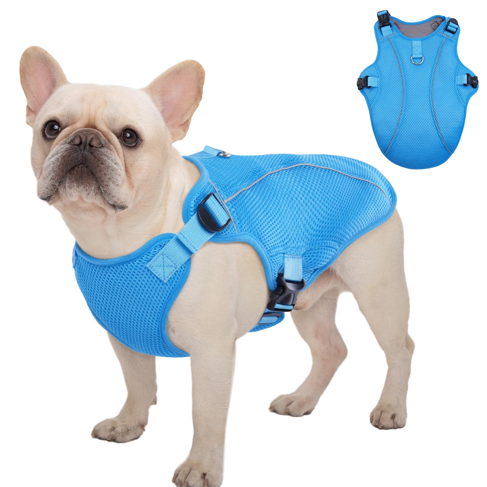 Kuoser Dog Cooling Vest Harness, Small Puppy Cooler Jacket With Adjustable Buckle For Outdoor Beach, Hiking, Training Blue S