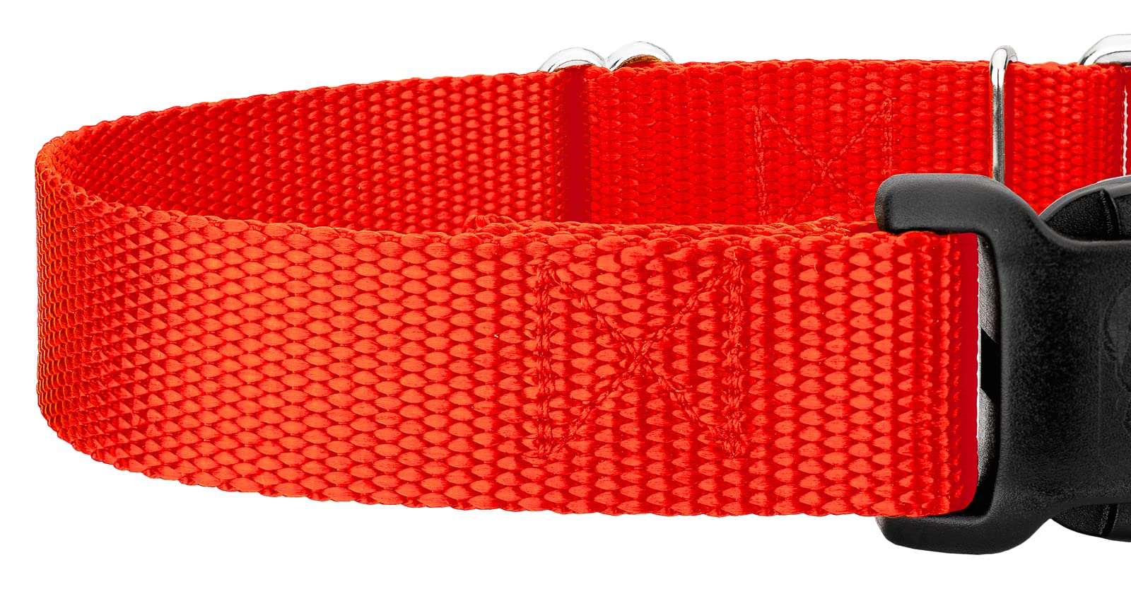 Country Brook Petz - Made In The Usa - Durable Nylon Martingale With Deluxe Buckle - 30+ Vibrant Color Options (Hot Orange, 5/8 Inch, Extra Small)
